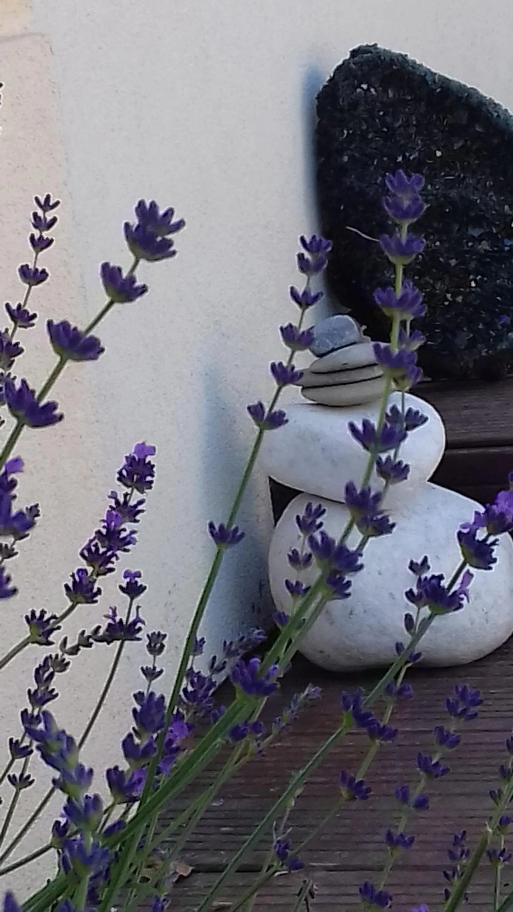 Decorative detail in La Maison D'ayona