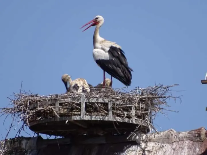 Nearby landmark in La Maison D'ayona