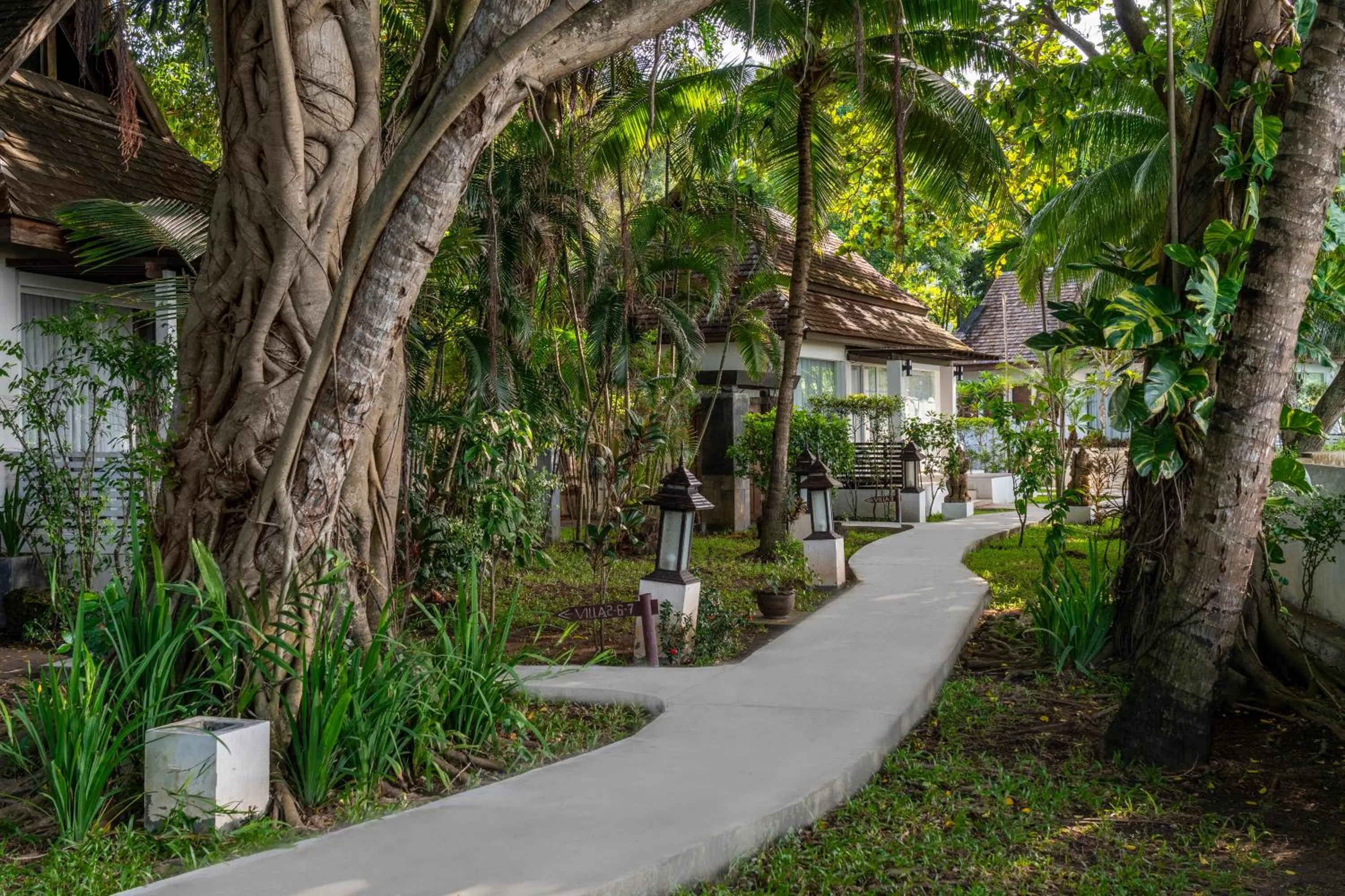 Garden view in Zara Beach Resort Koh Samui