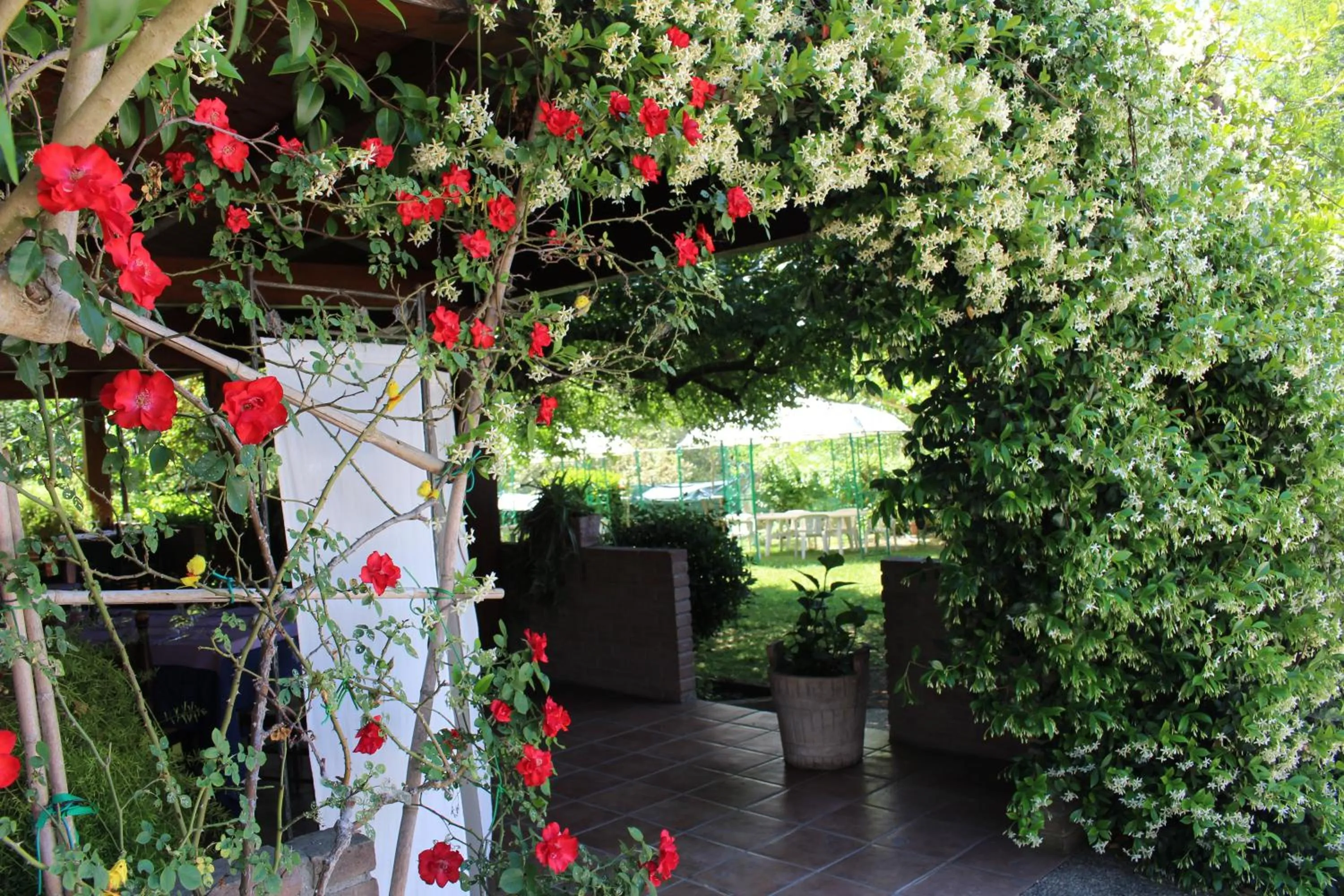 Facade/entrance in da elio