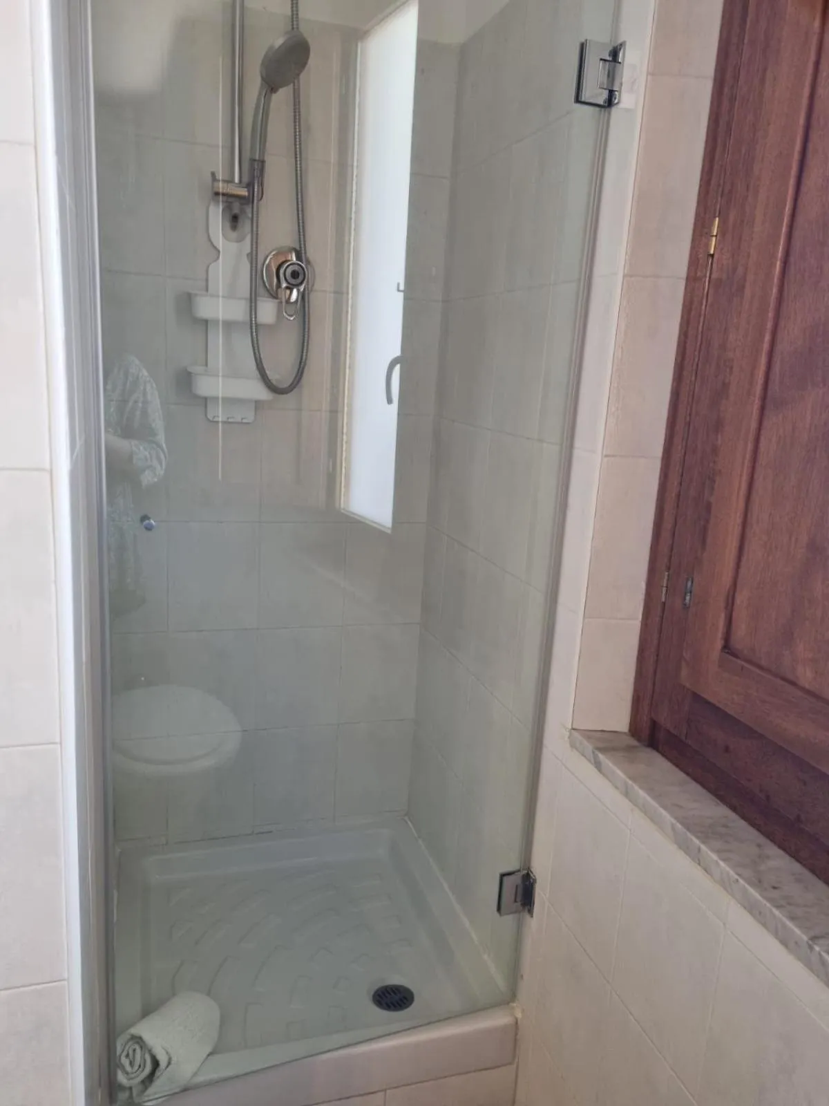 Shower in Hotel Plammas