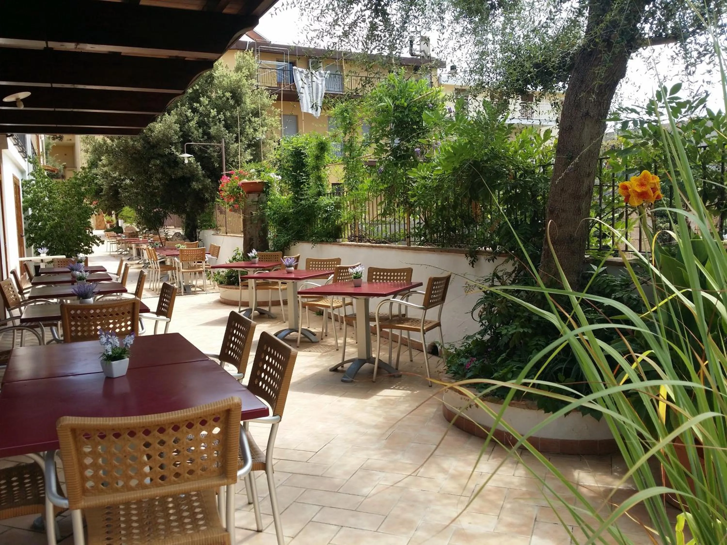 Day in Hotel Plammas