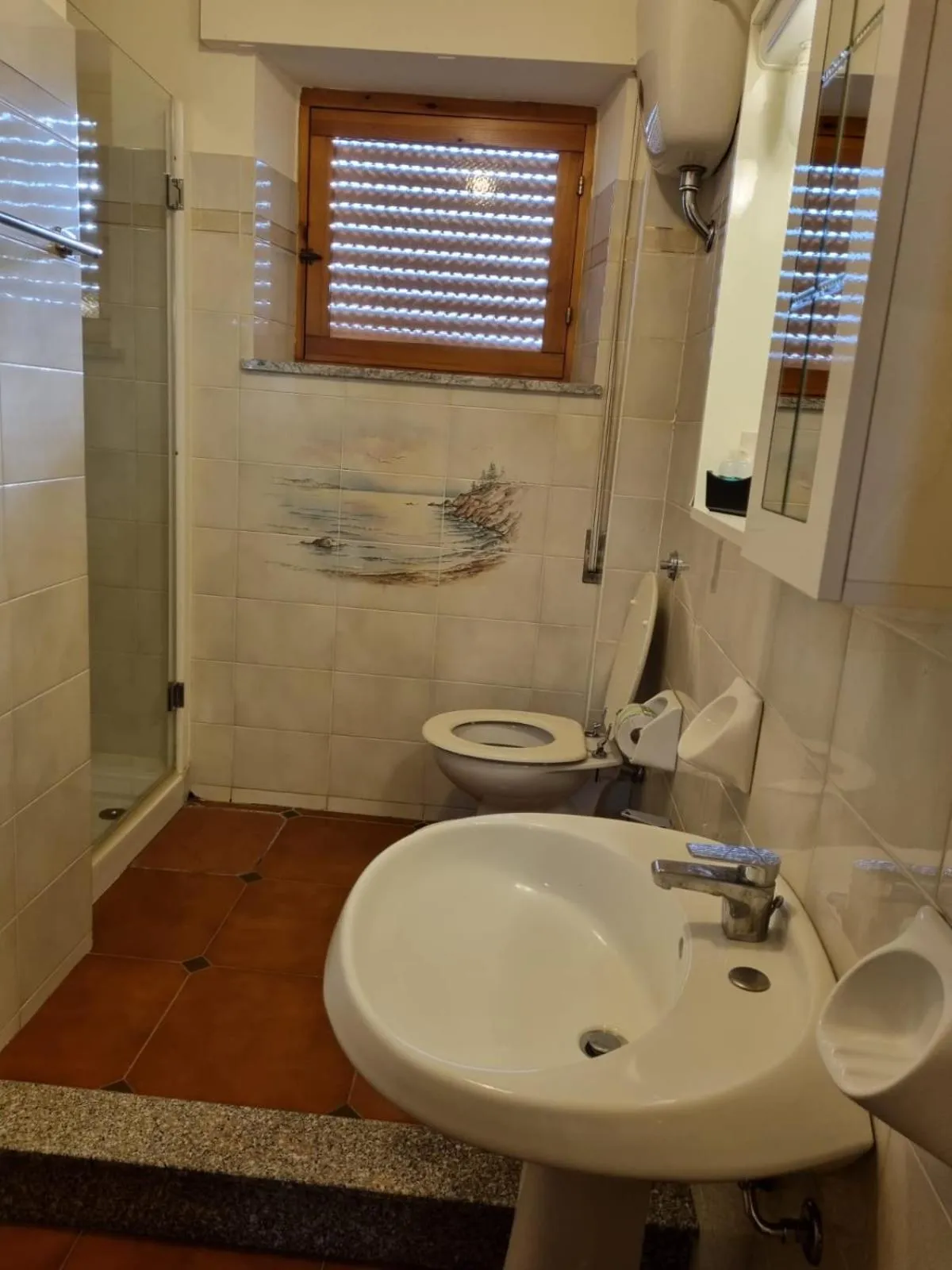 Shower in Hotel Plammas