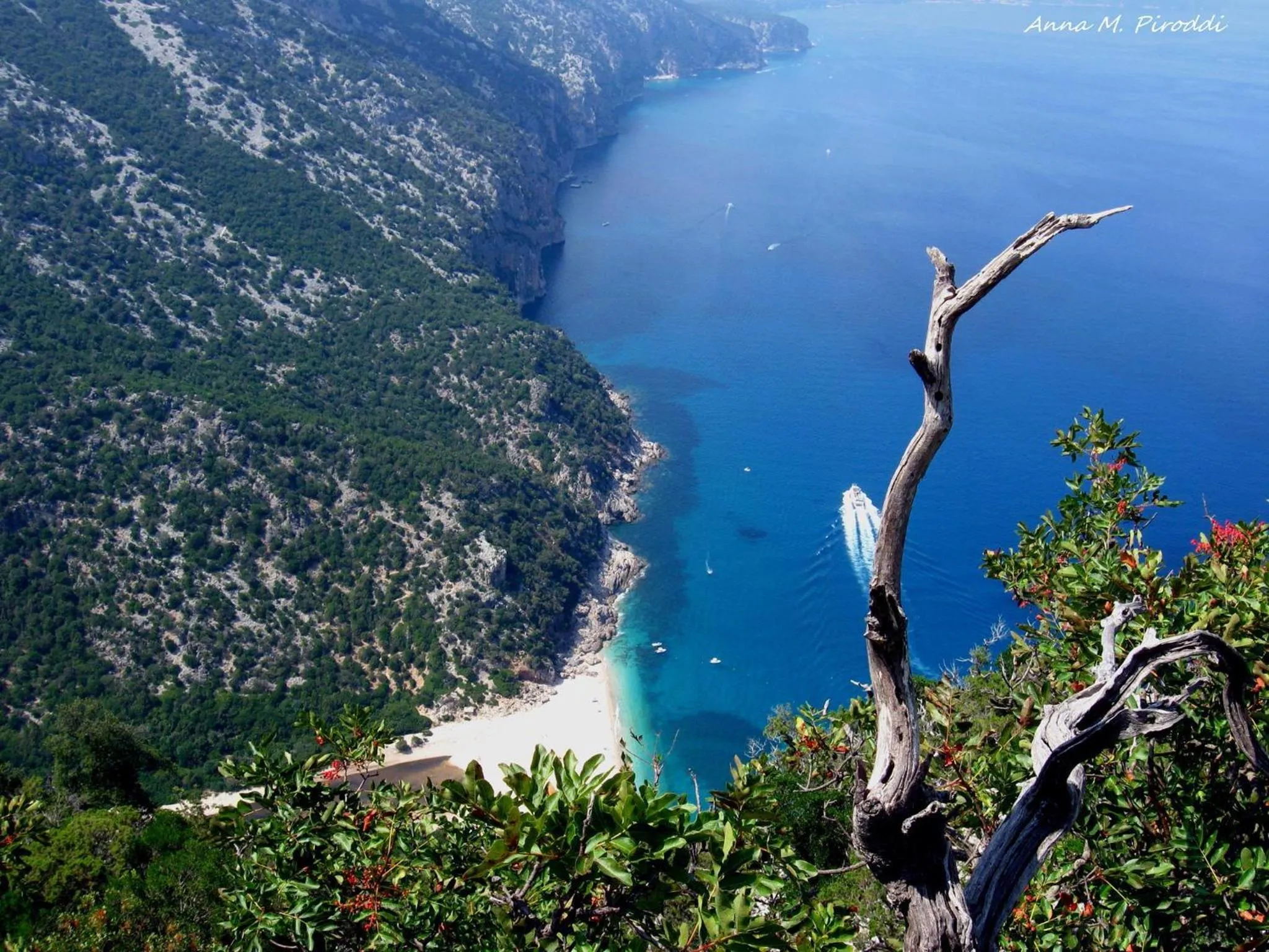 Day in Hotel Plammas