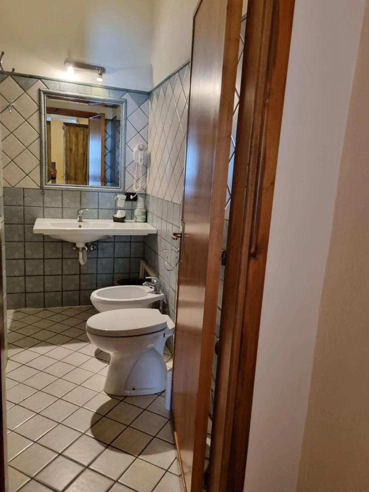 Bathroom in Hotel Plammas