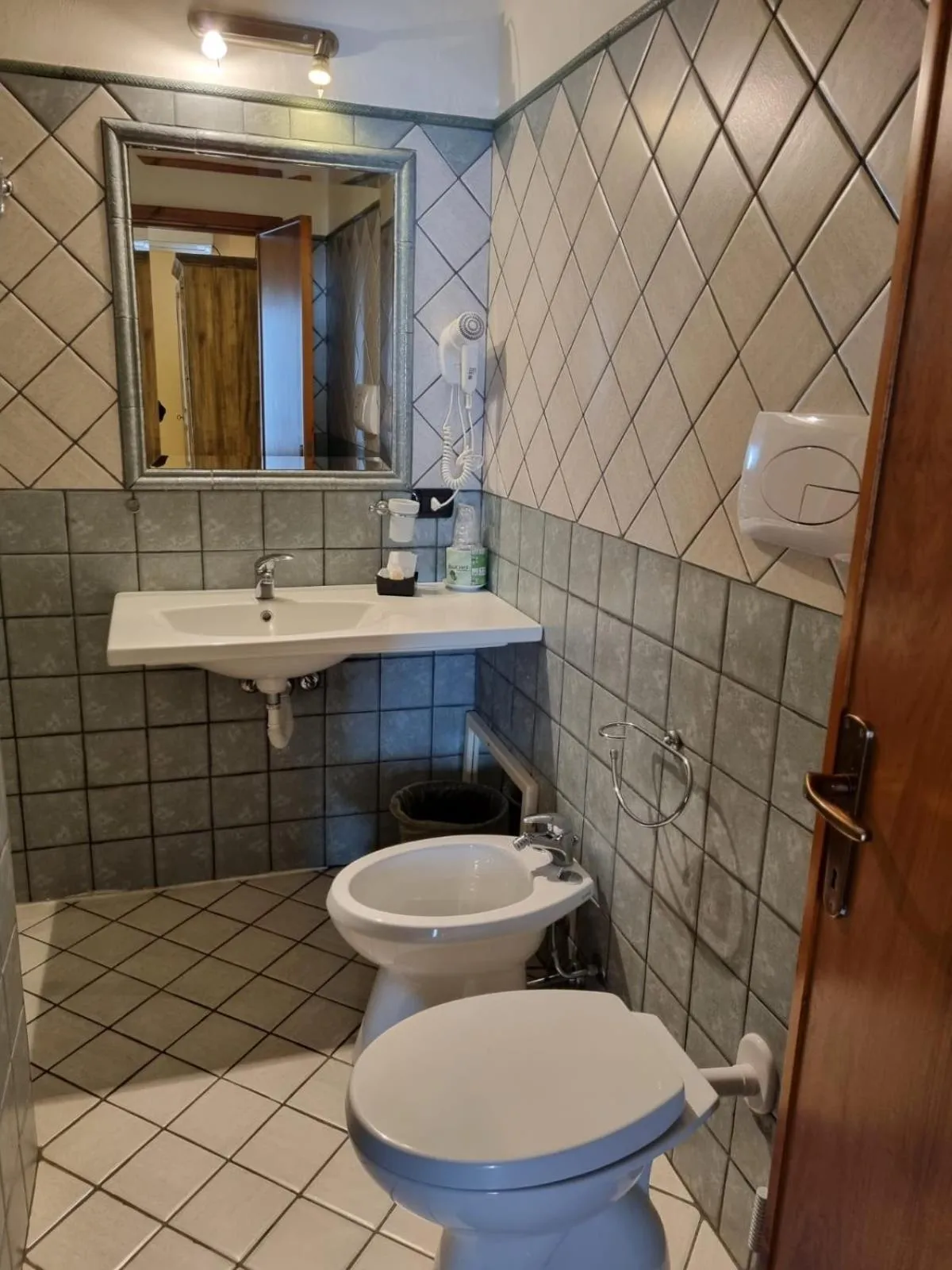 Shower in Hotel Plammas