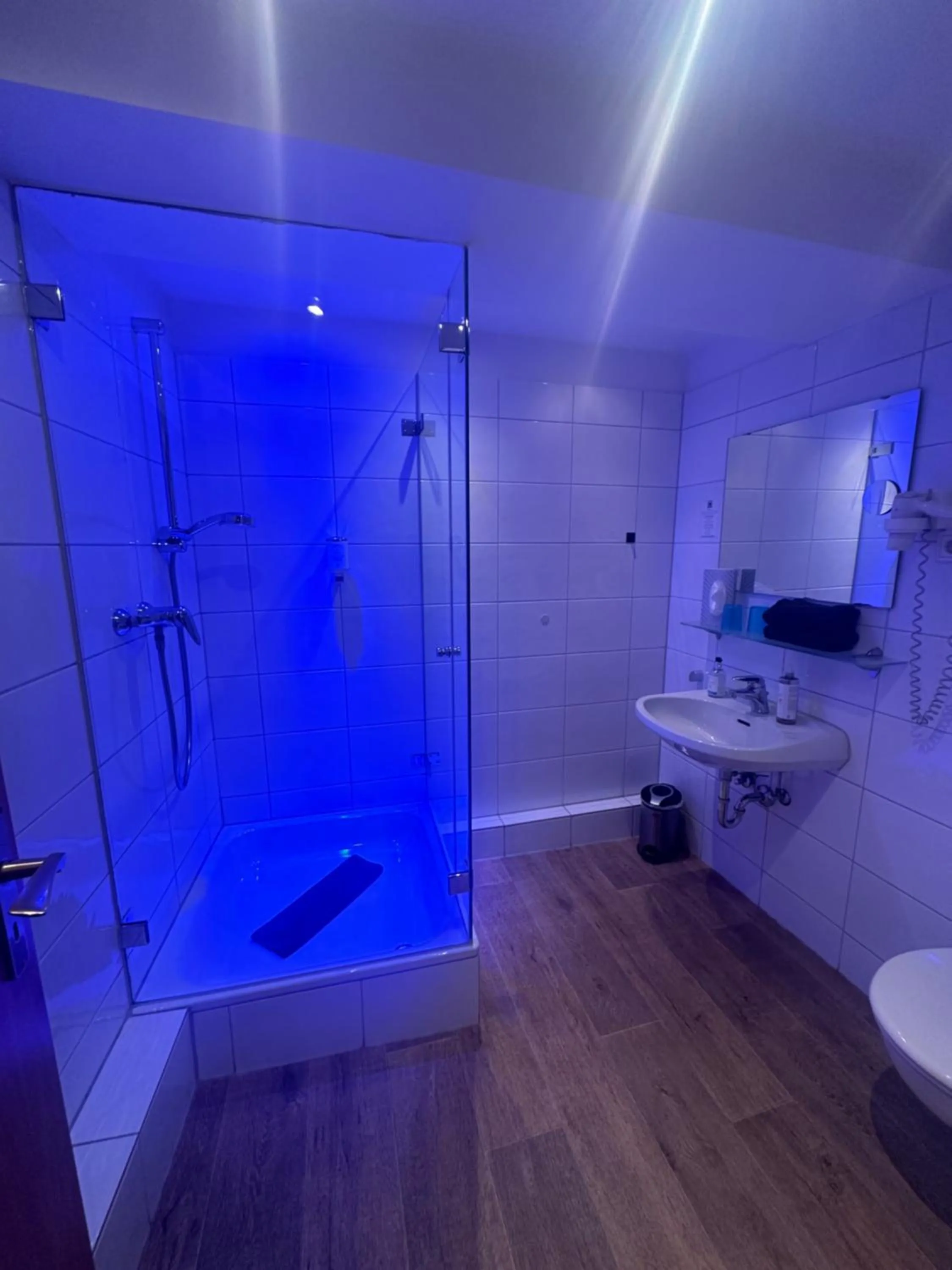 Shower in Hotel Restaurant Benger