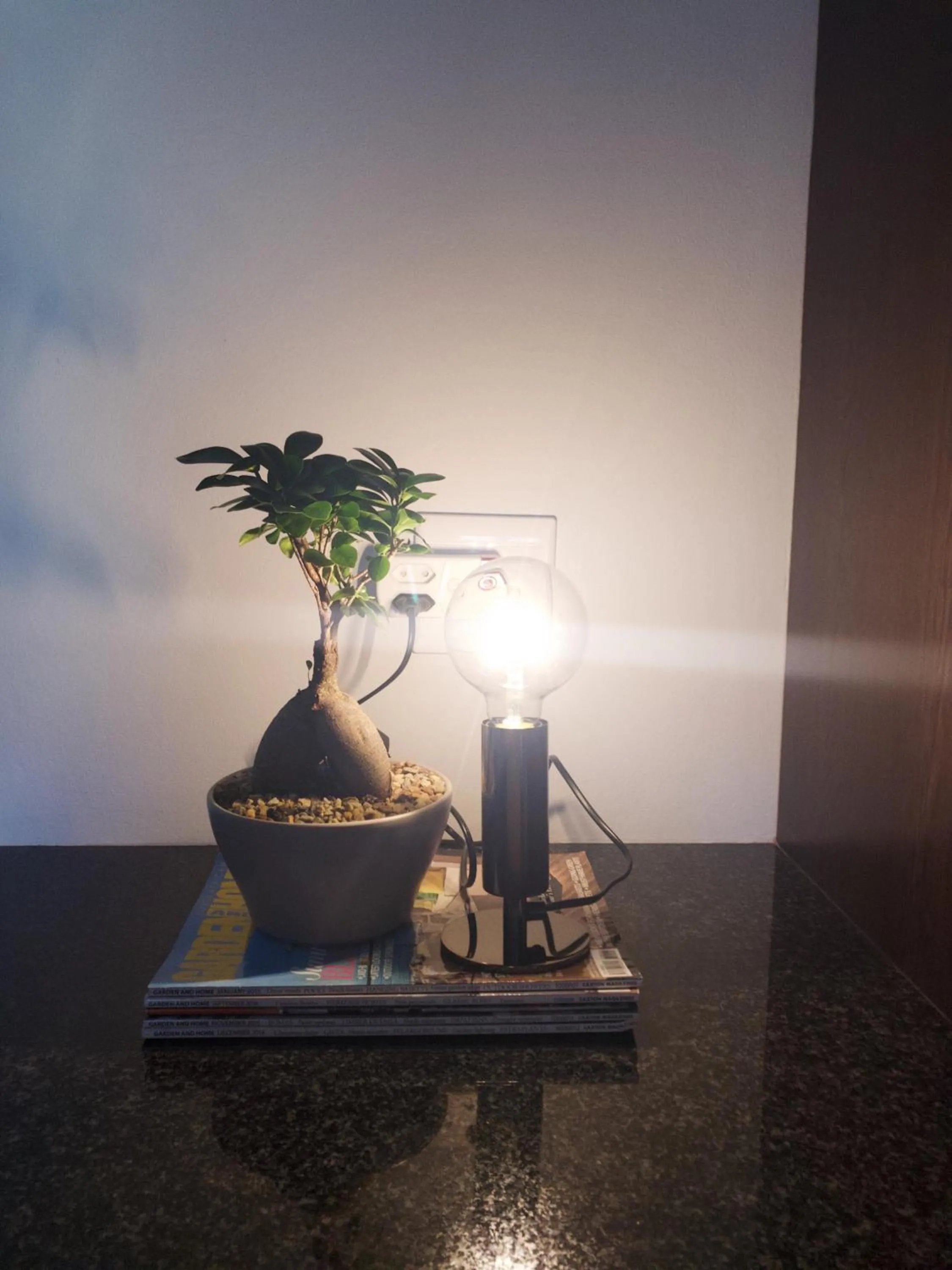 Decorative detail in The Hedge Guesthouse