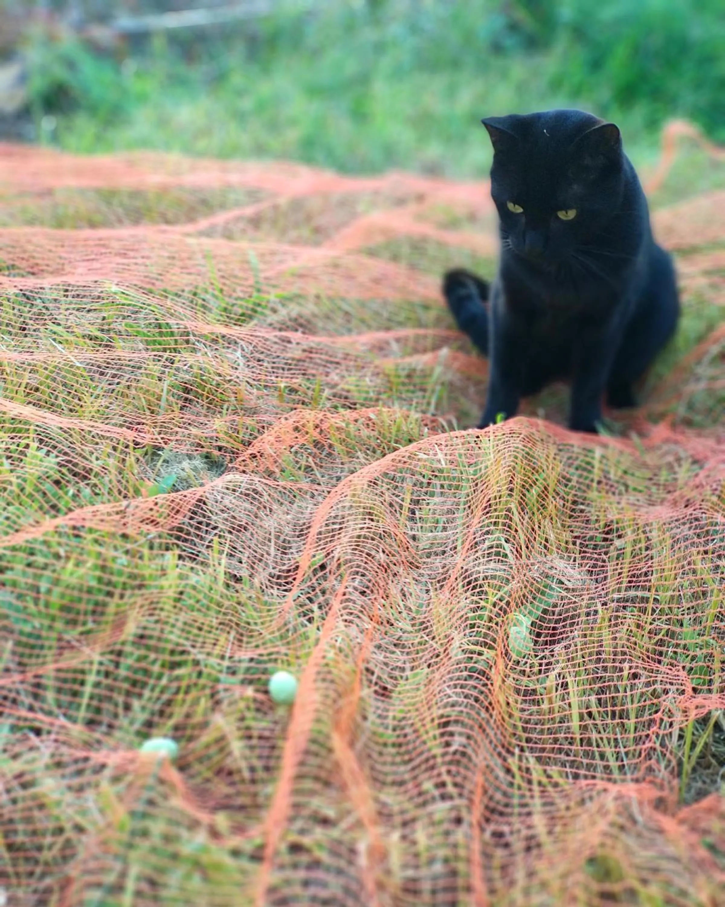 Activities in B&B Casa Gemma