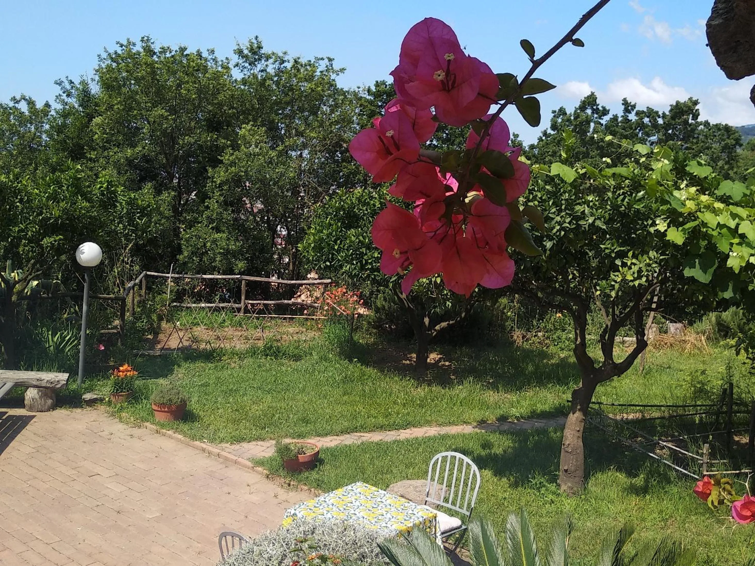 Garden in B&B Casa Gemma