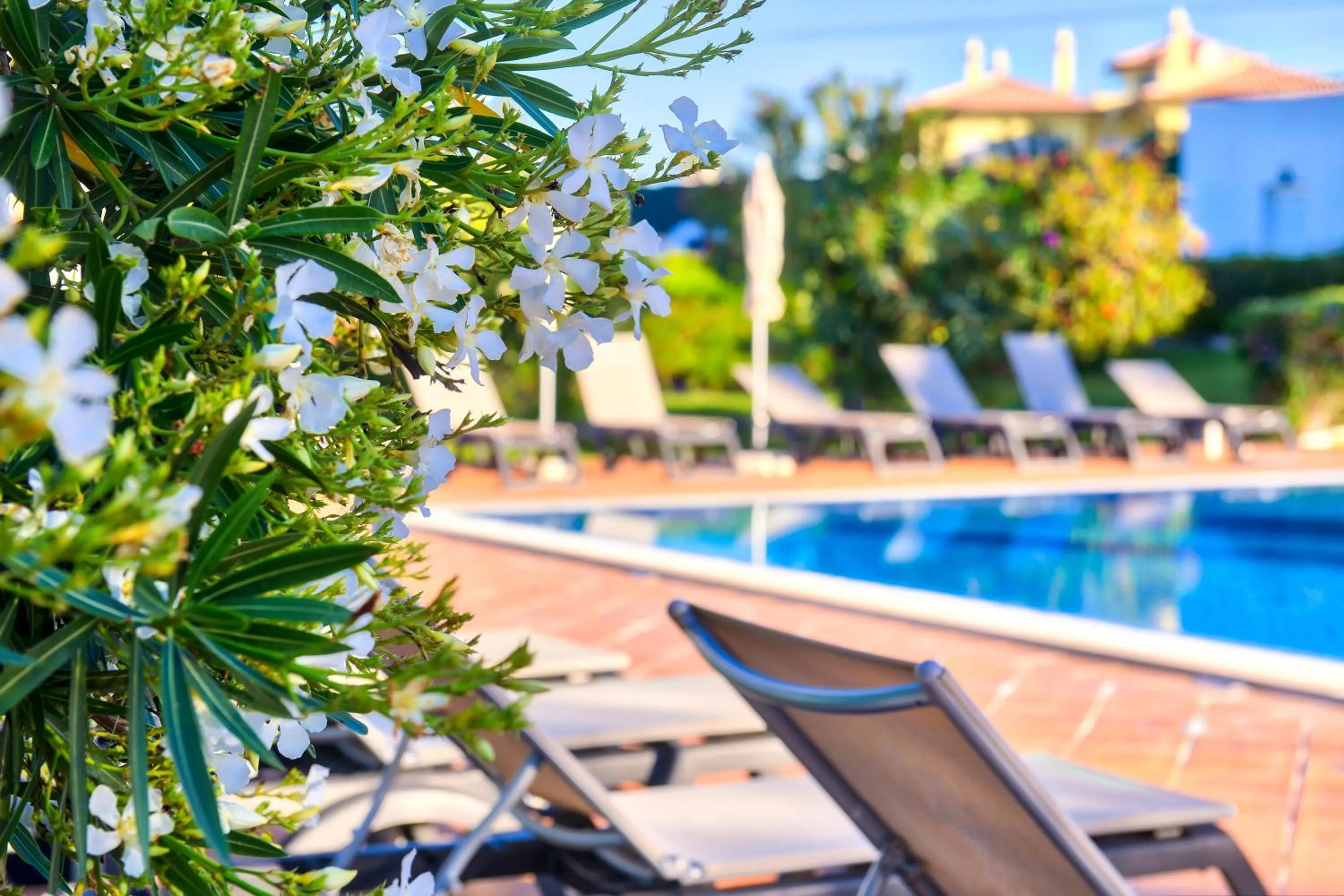 Swimming pool in Moradias Villas Rufino