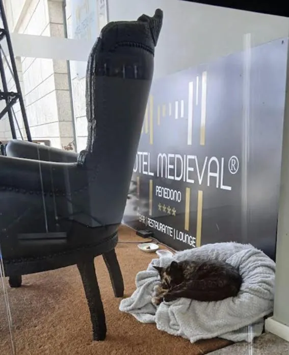 Property building in Hotel Medieval® de Penedono