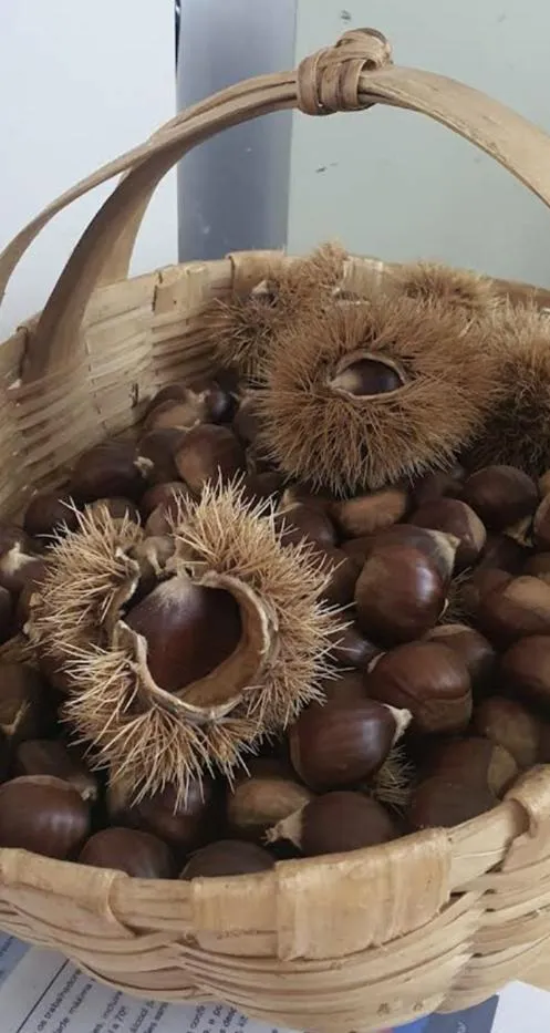 Property building in Hotel Medieval® de Penedono