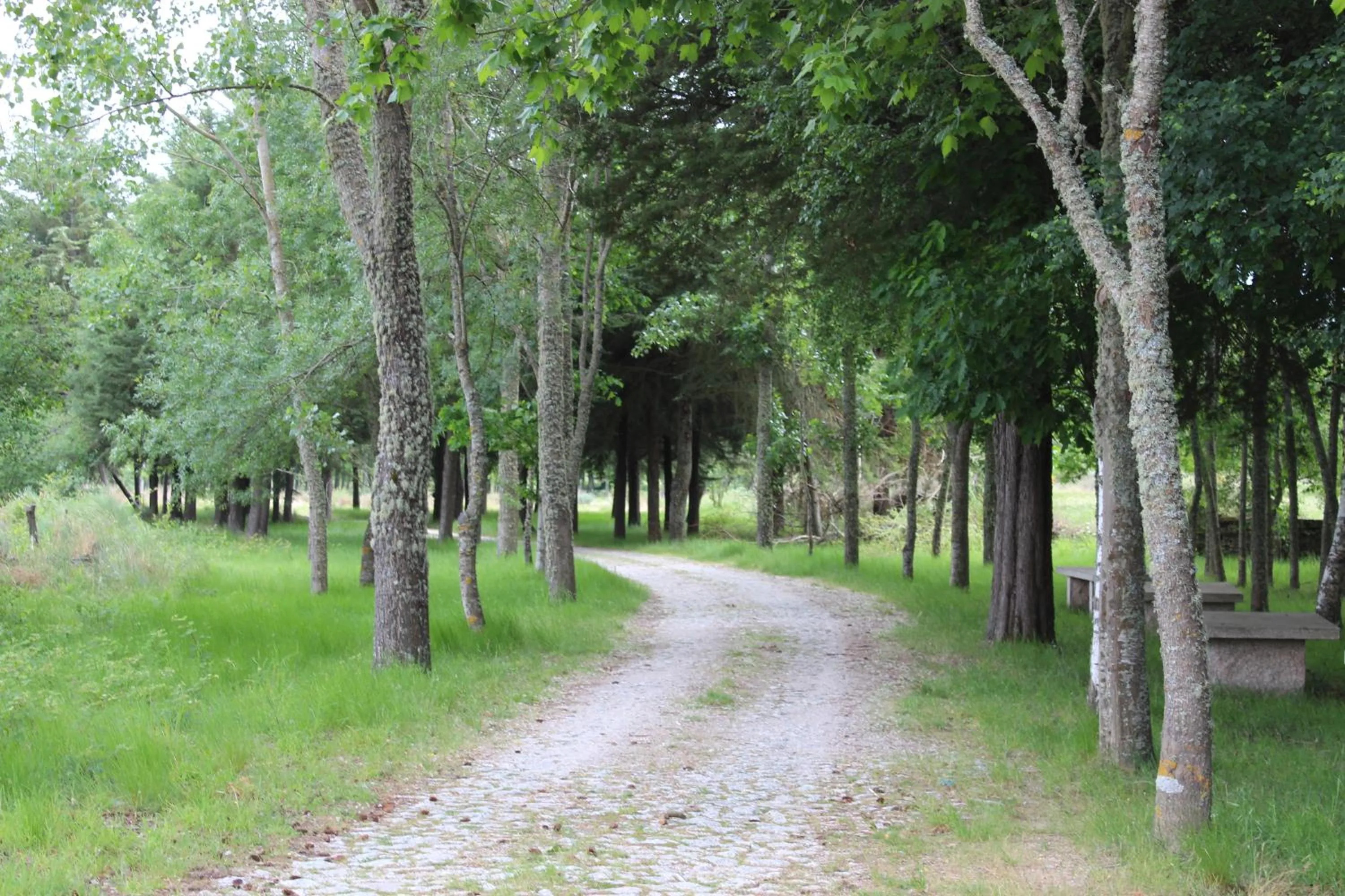 Nearby landmark in Hotel Medieval® de Penedono