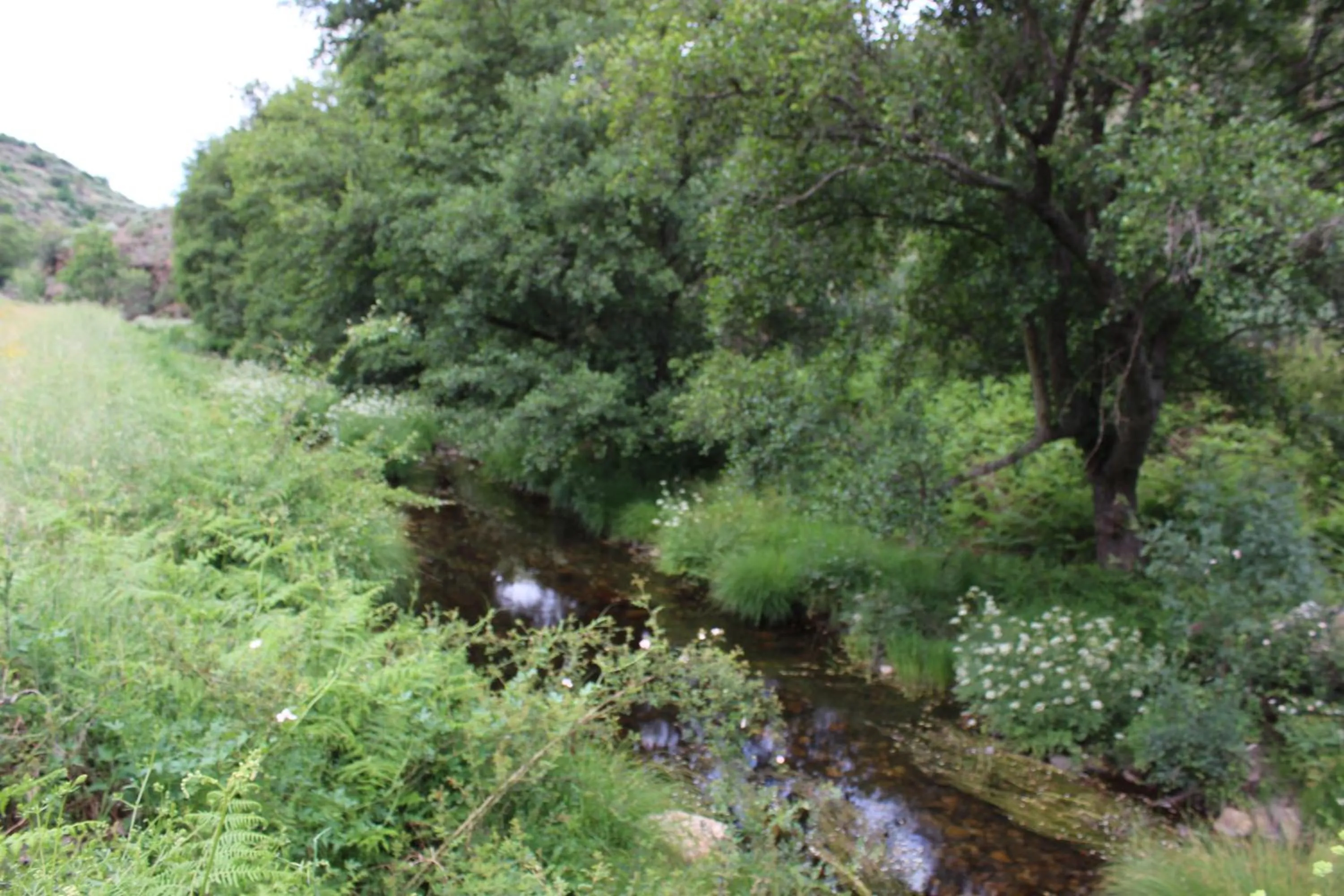Nearby landmark in Hotel Medieval® de Penedono