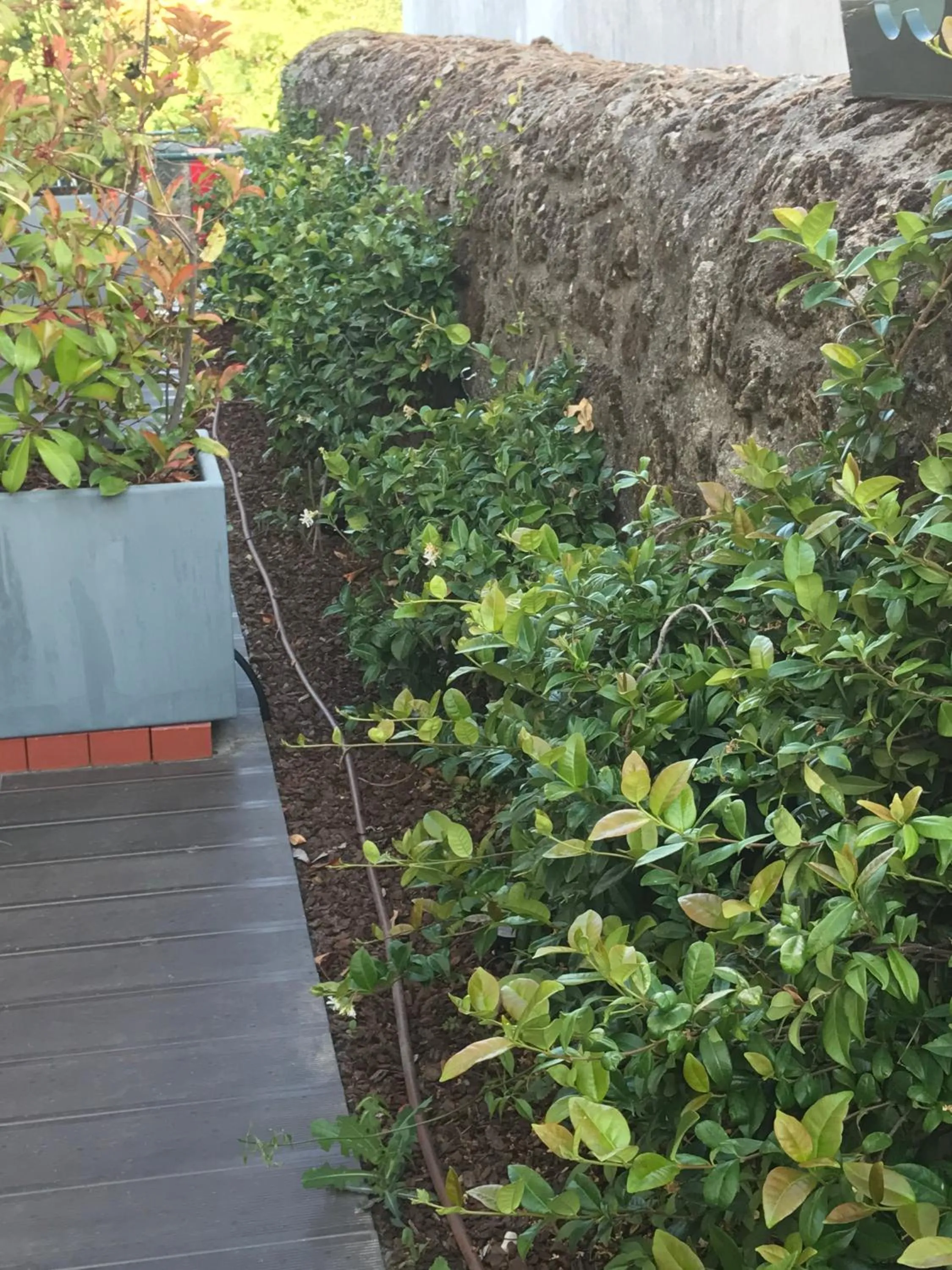 Patio in Hotel Medieval® de Penedono