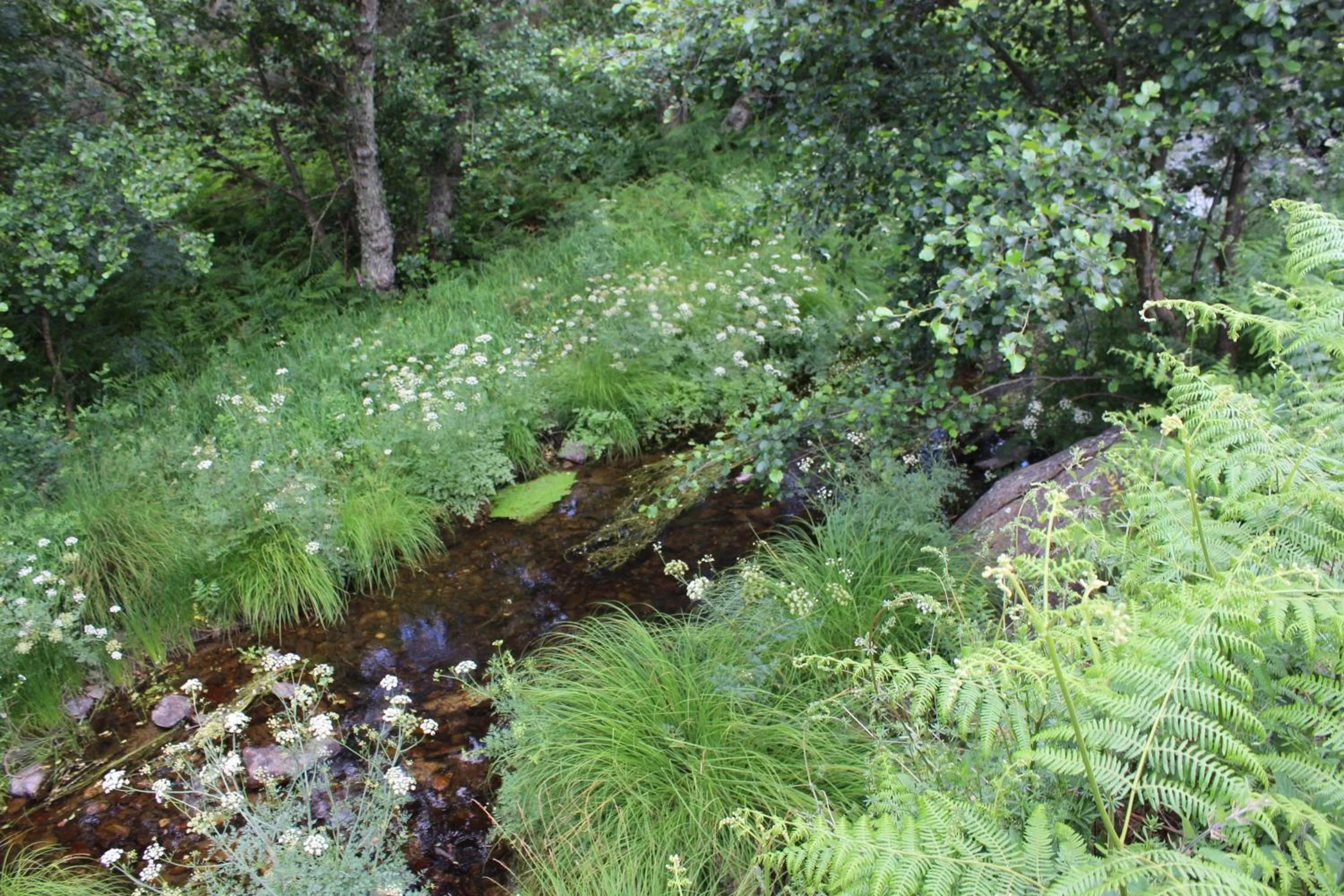 Nearby landmark in Hotel Medieval® de Penedono