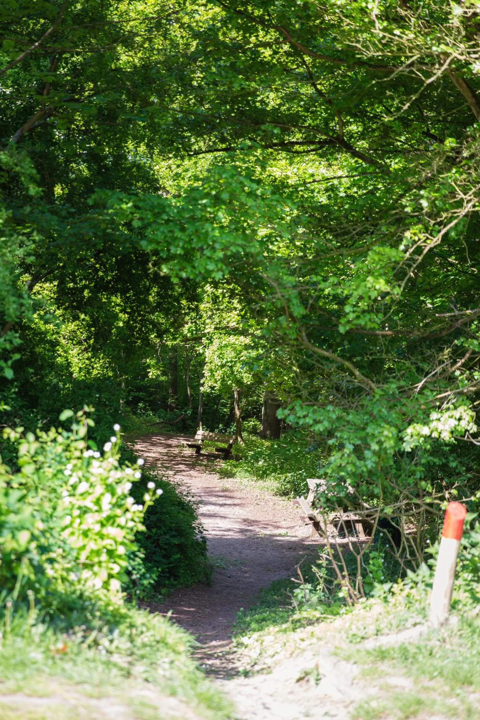 Horse-riding in Bed & Breakfast Van Marion