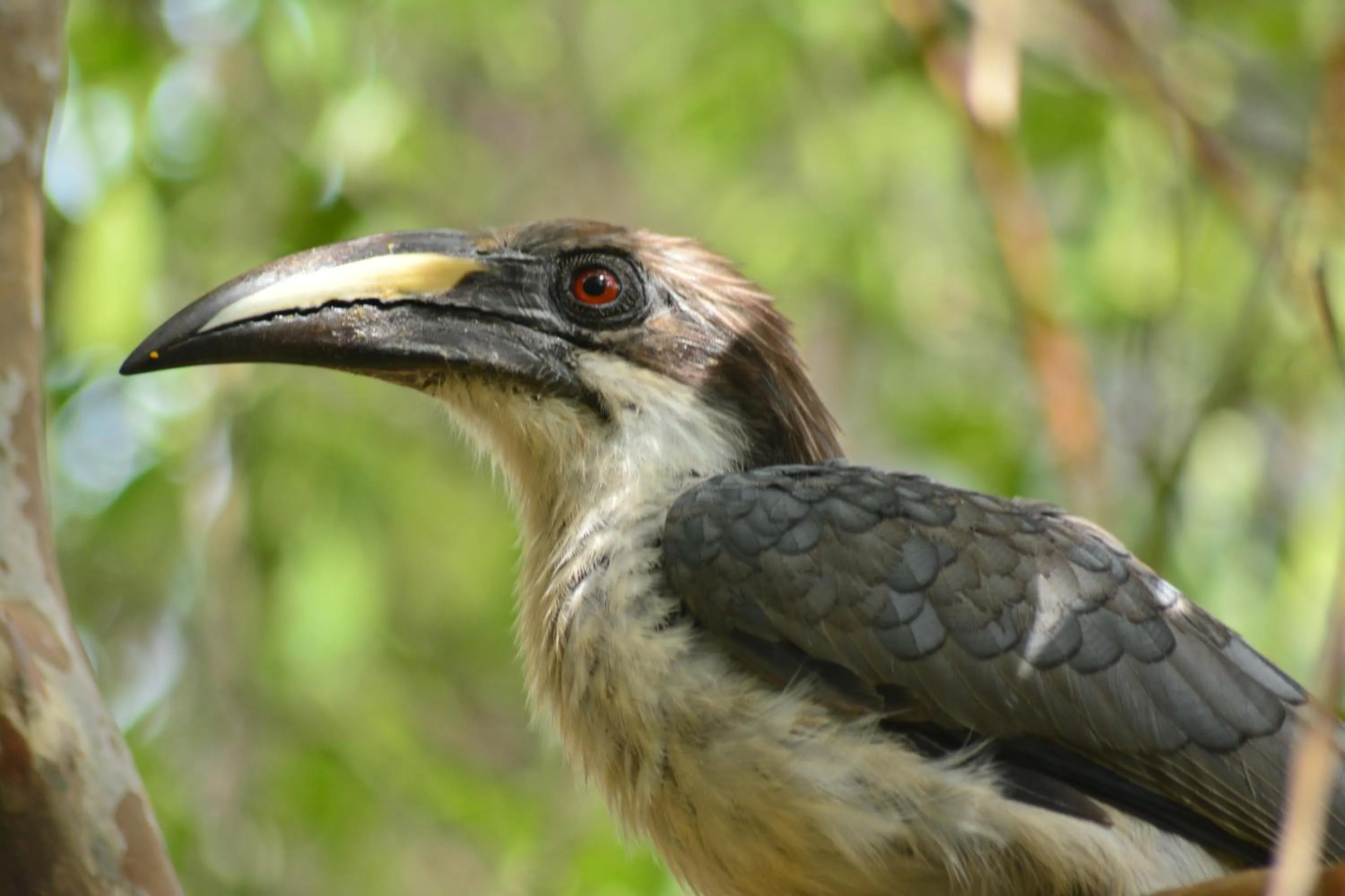 Animals in Treasure House Tourist Rest