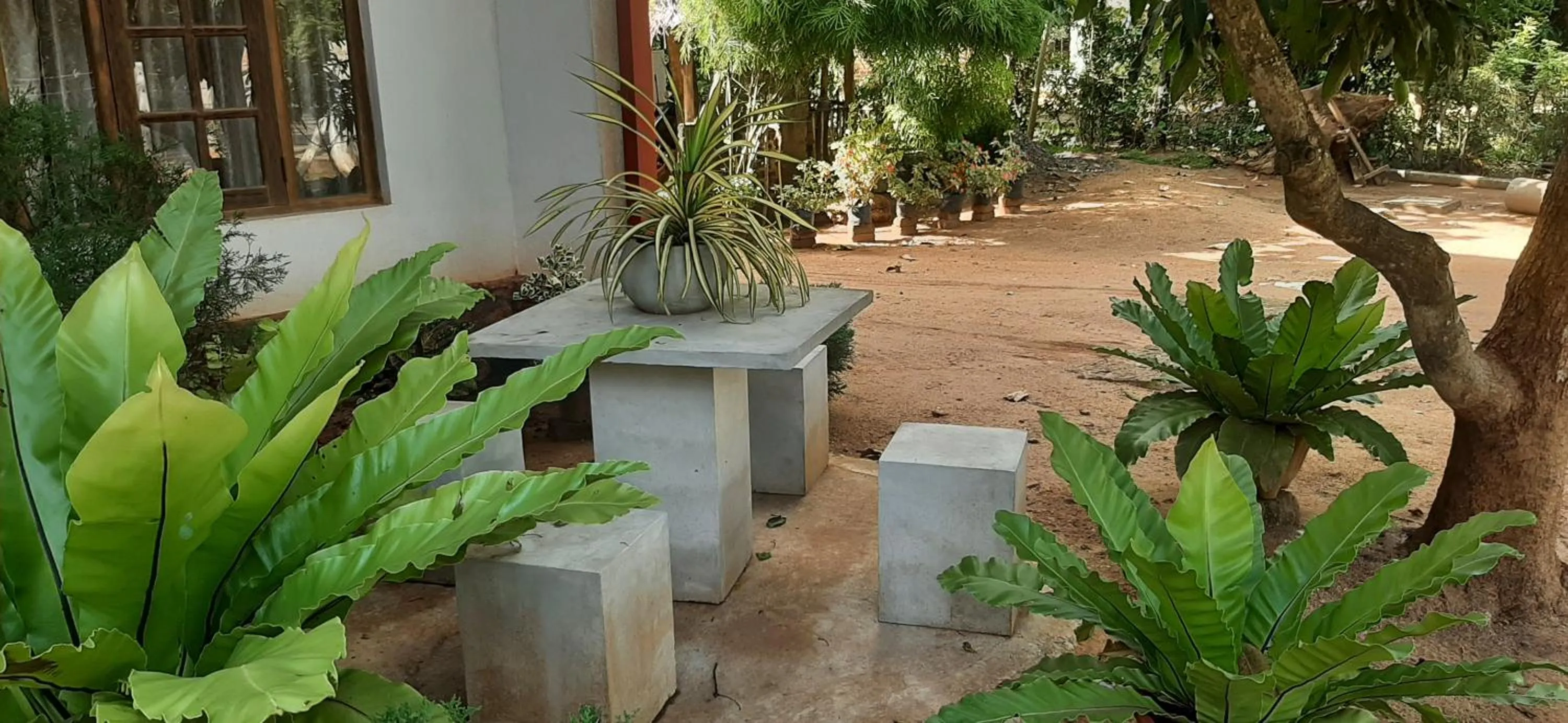 Garden in Treasure House Tourist Rest