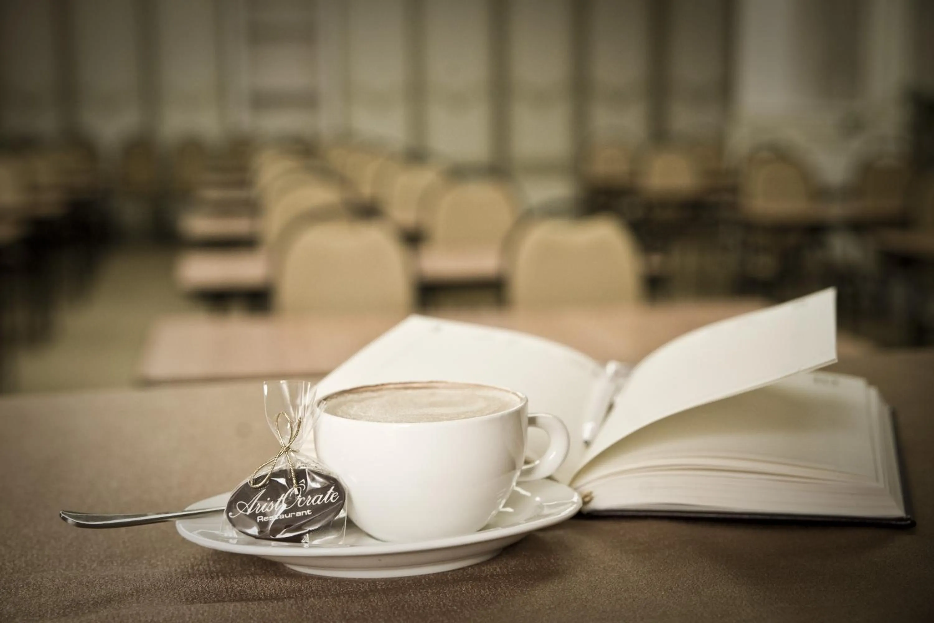 Business facilities in Aurora Premier Hotel