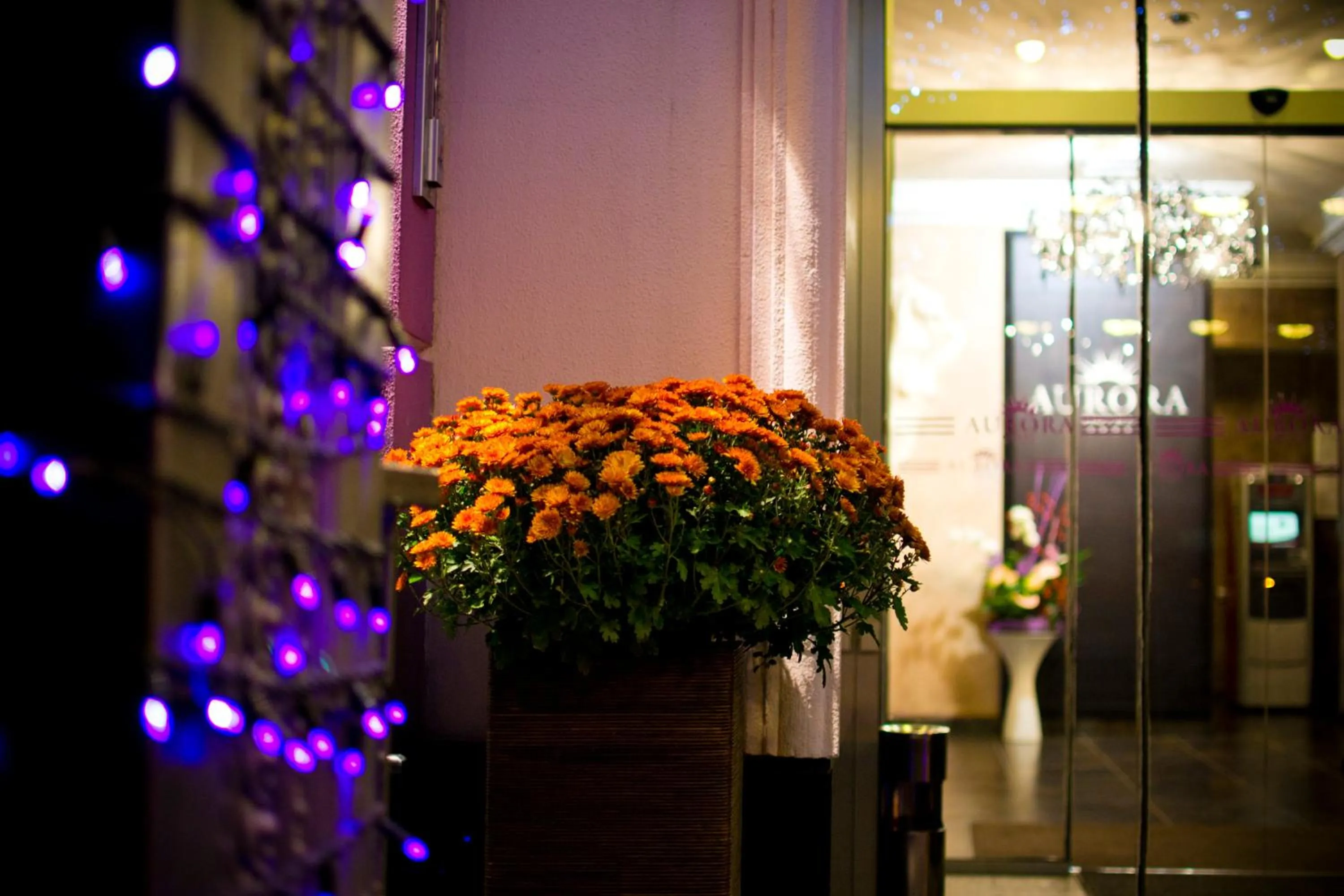 Decorative detail in Aurora Premier Hotel