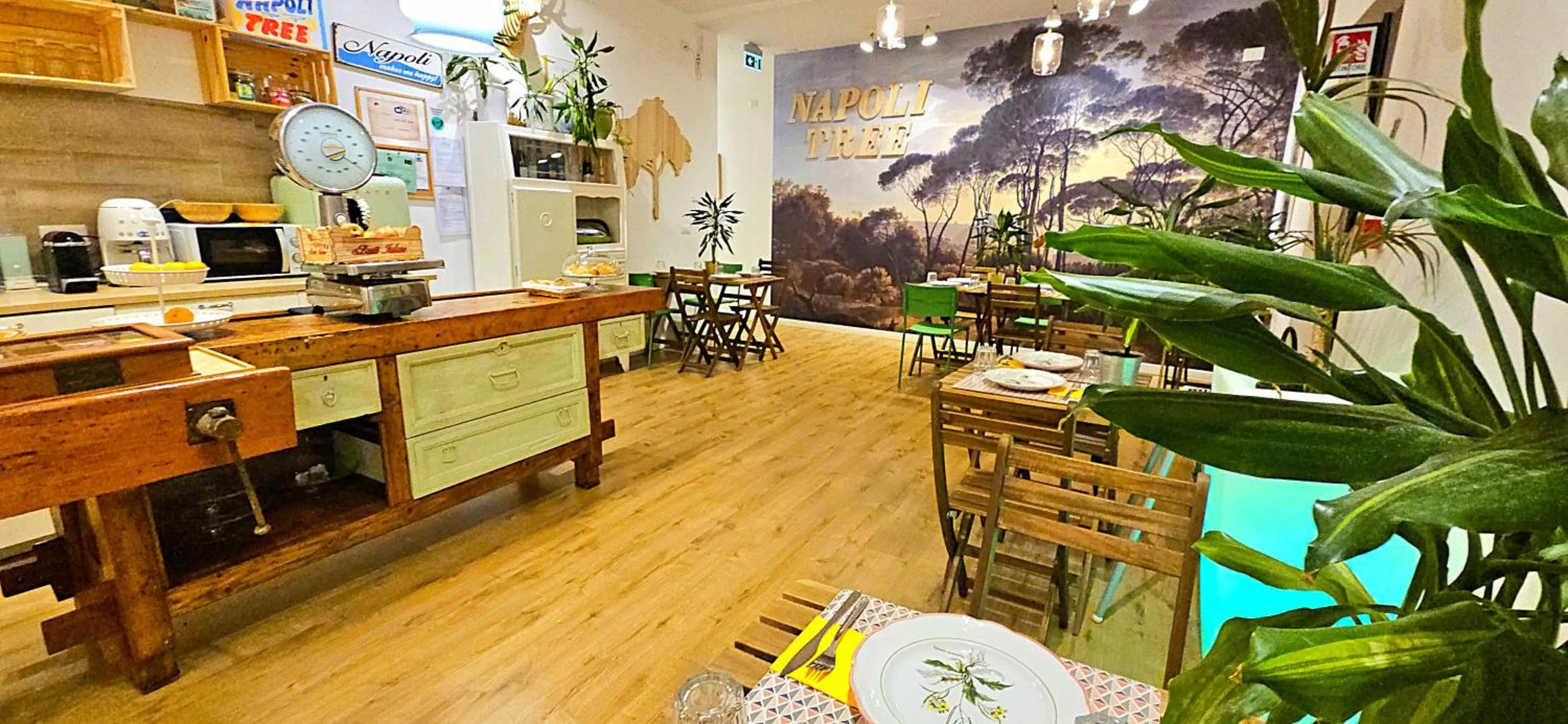 Breakfast in Napoli Tree - Lungomare