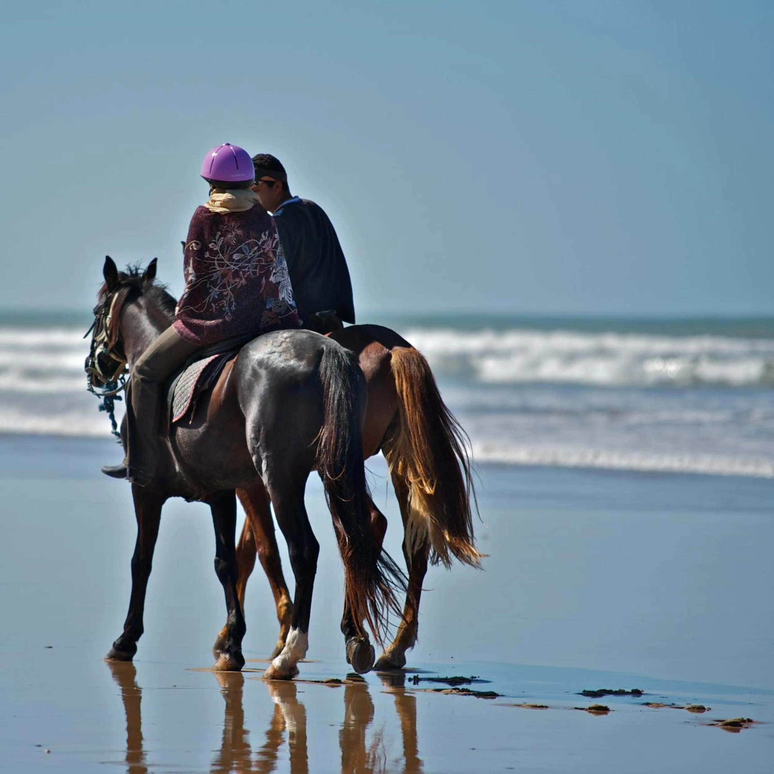 Activities in Riad Dar L'Oussia & SPA