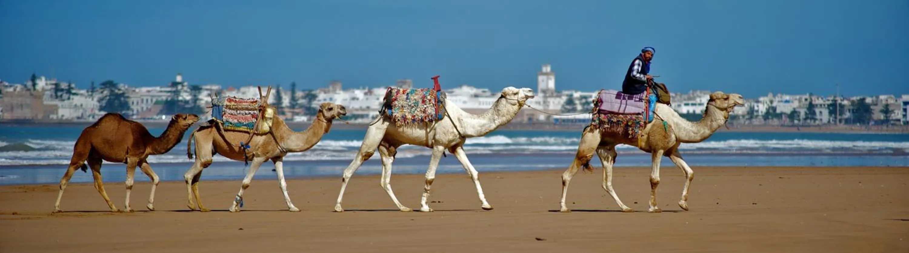 Activities in Riad Dar L'Oussia & SPA