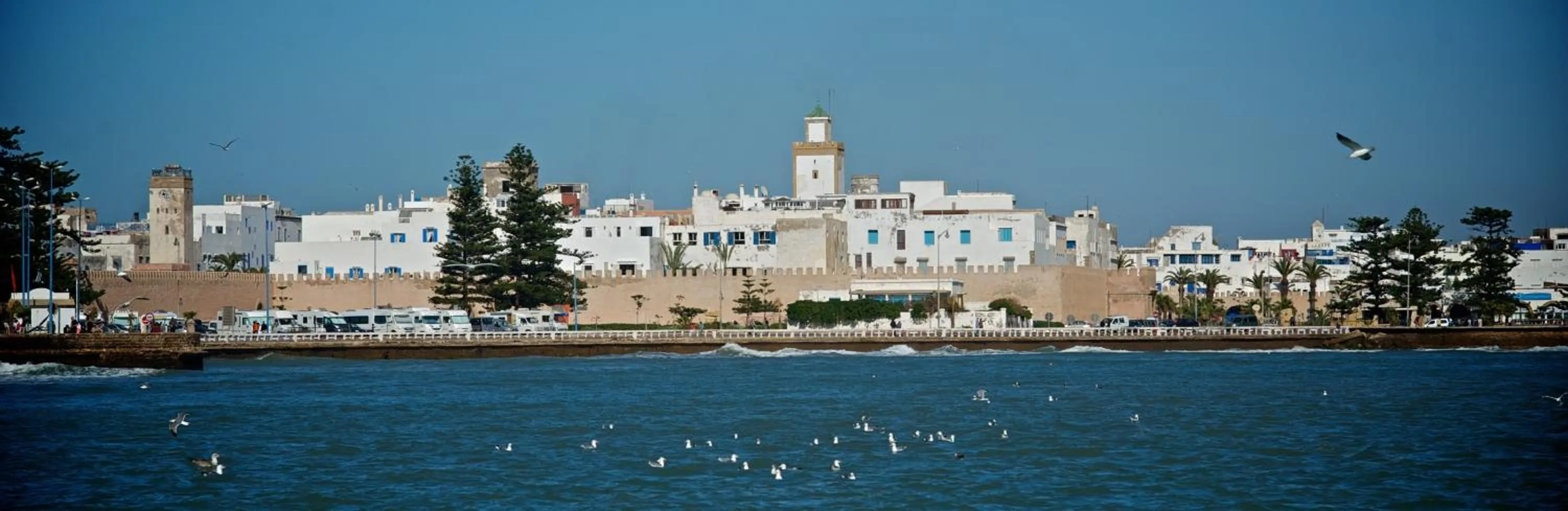 Activities in Riad Dar L'Oussia & SPA