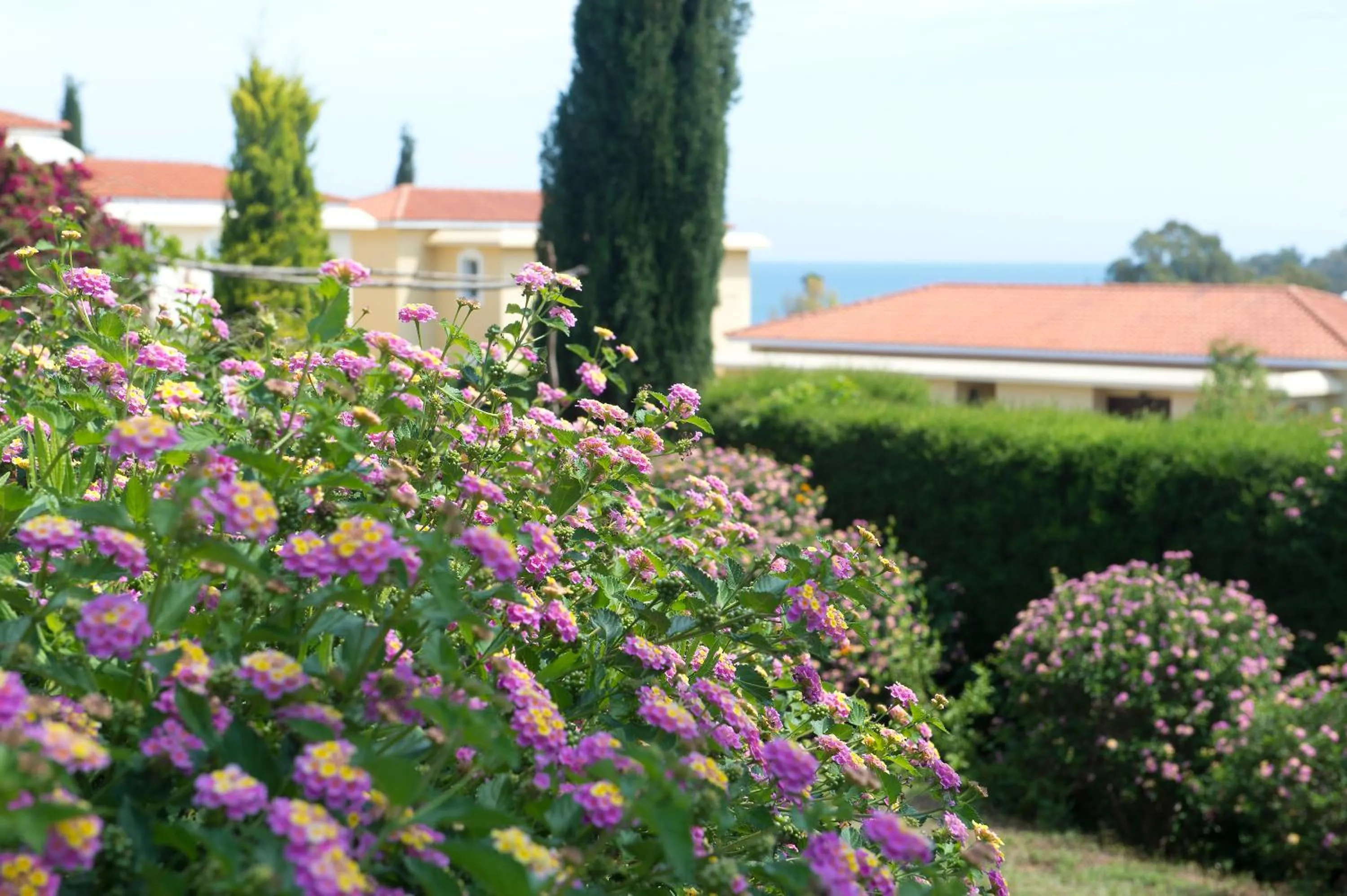 Garden in Akamanthea Holiday Village
