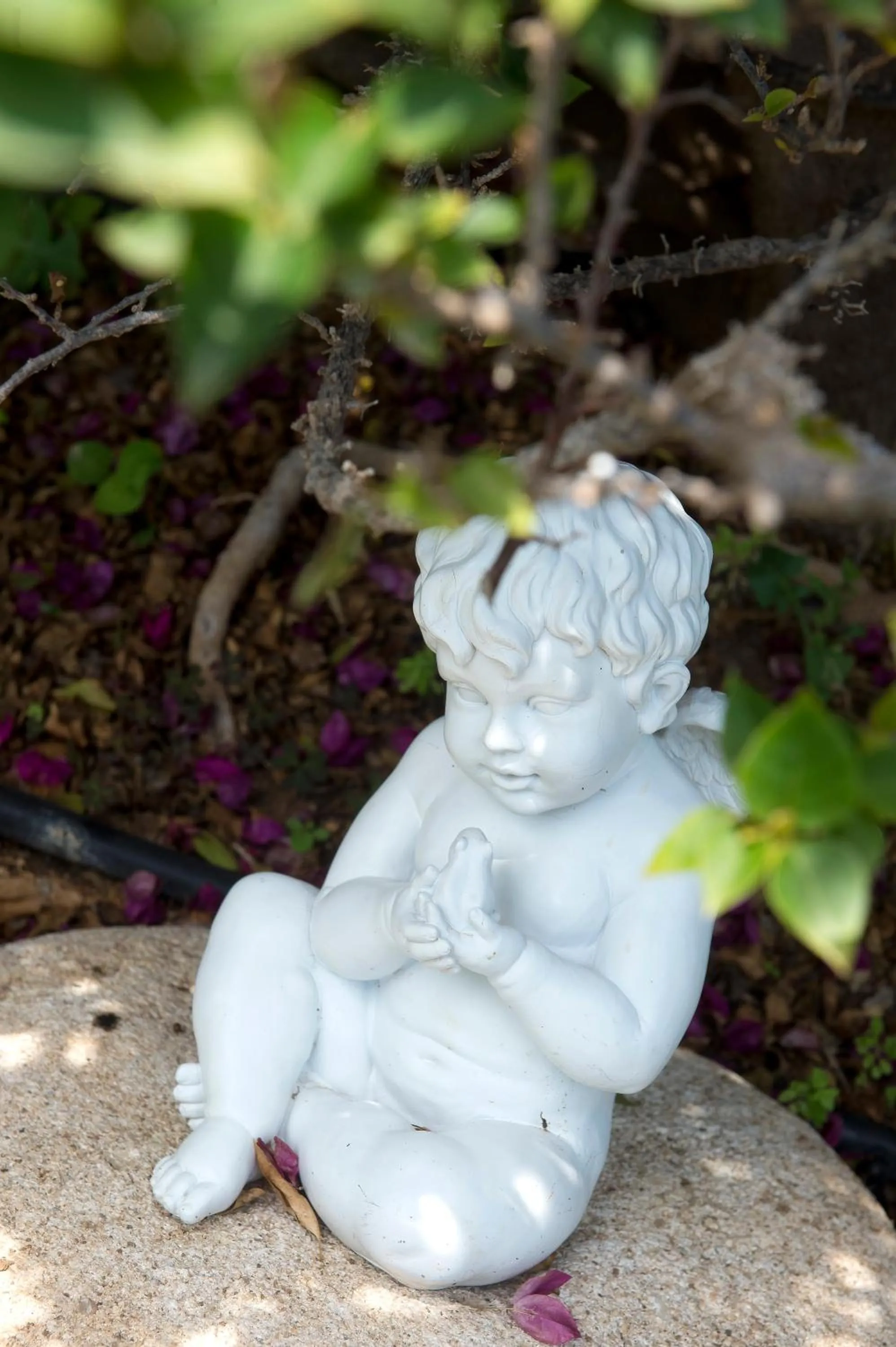 Garden in Akamanthea Holiday Village