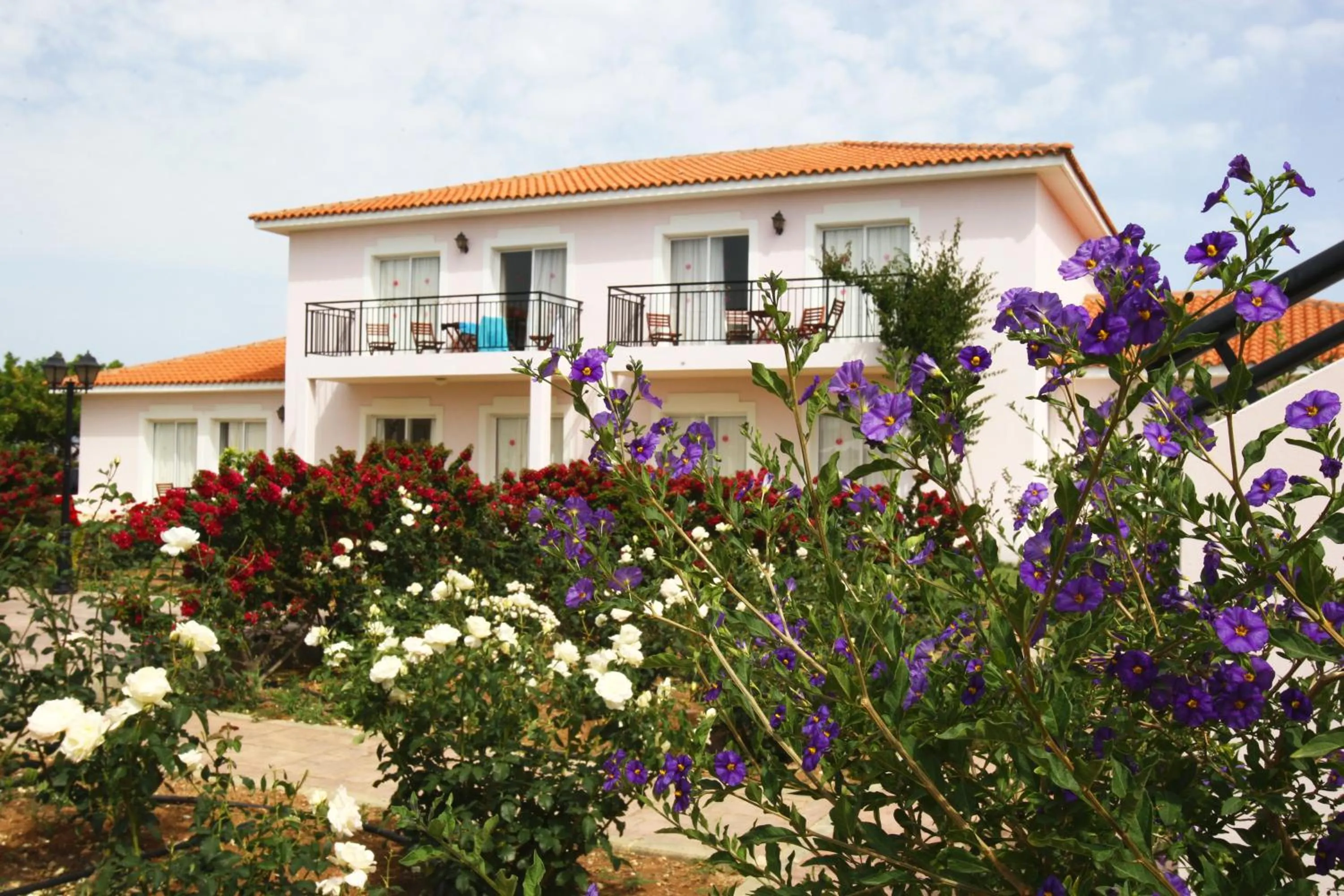 Area and facilities in Akamanthea Holiday Village