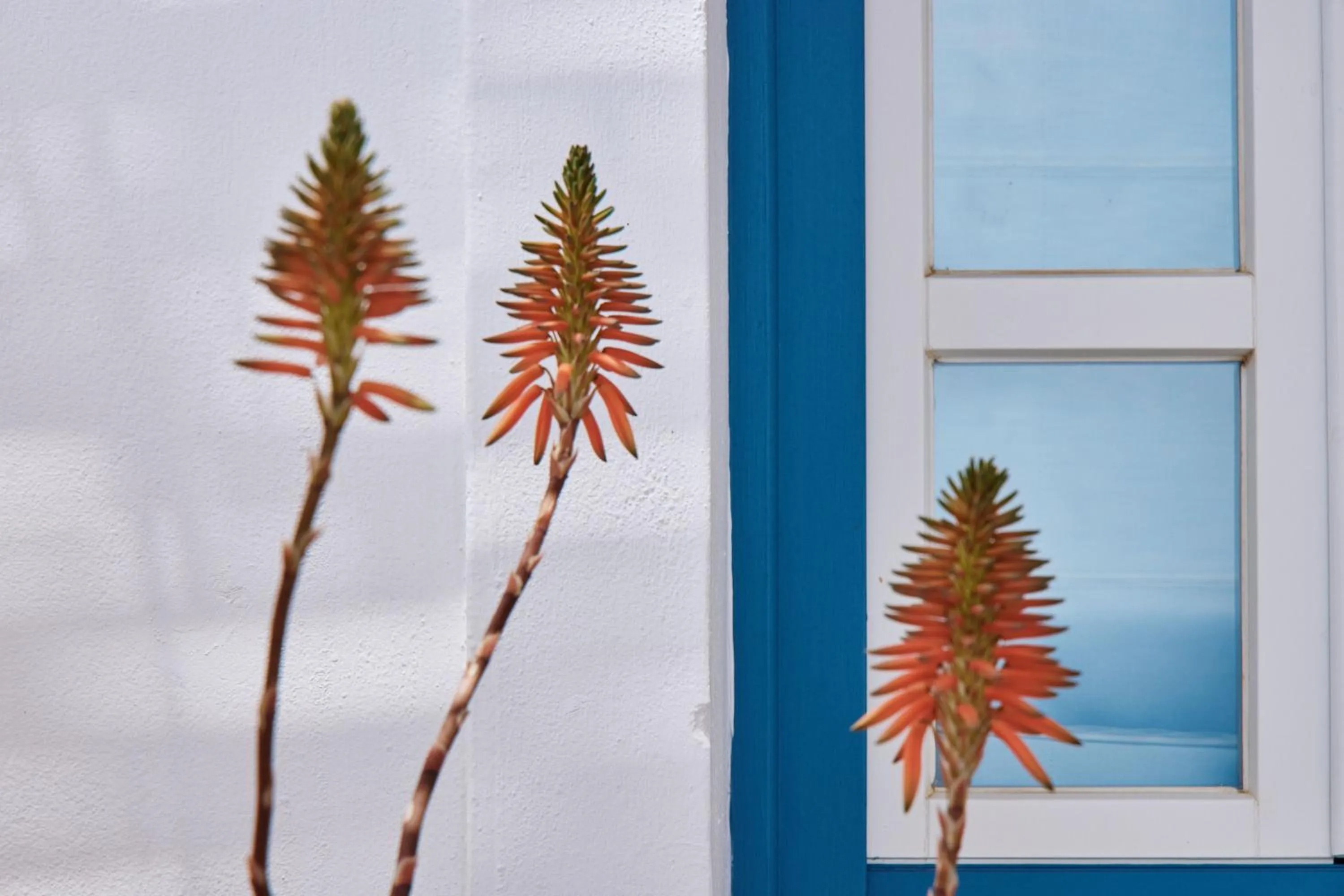 Property building in Chrysalis Boutique - Adults Only