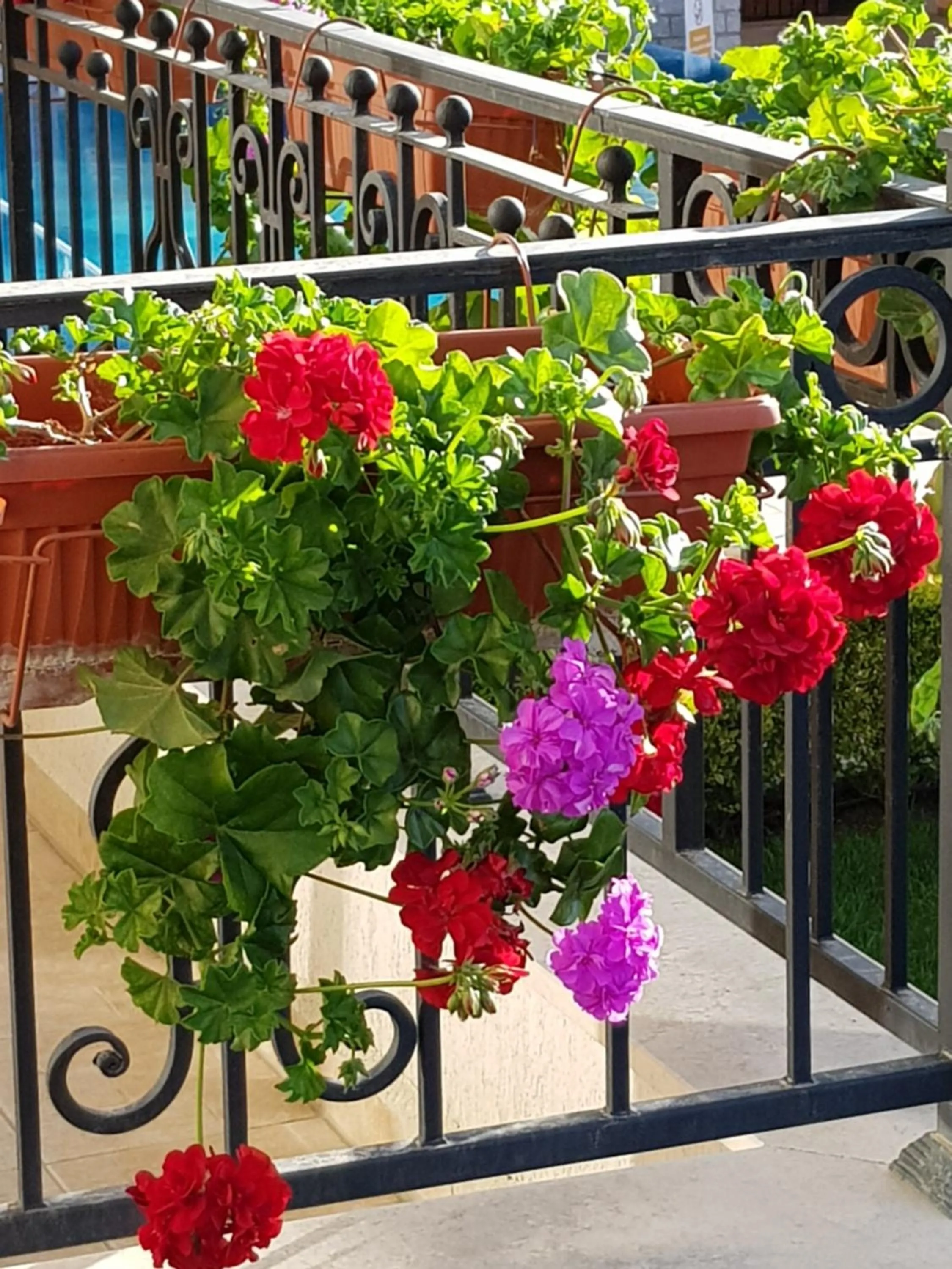 Boulevard Sea Residence