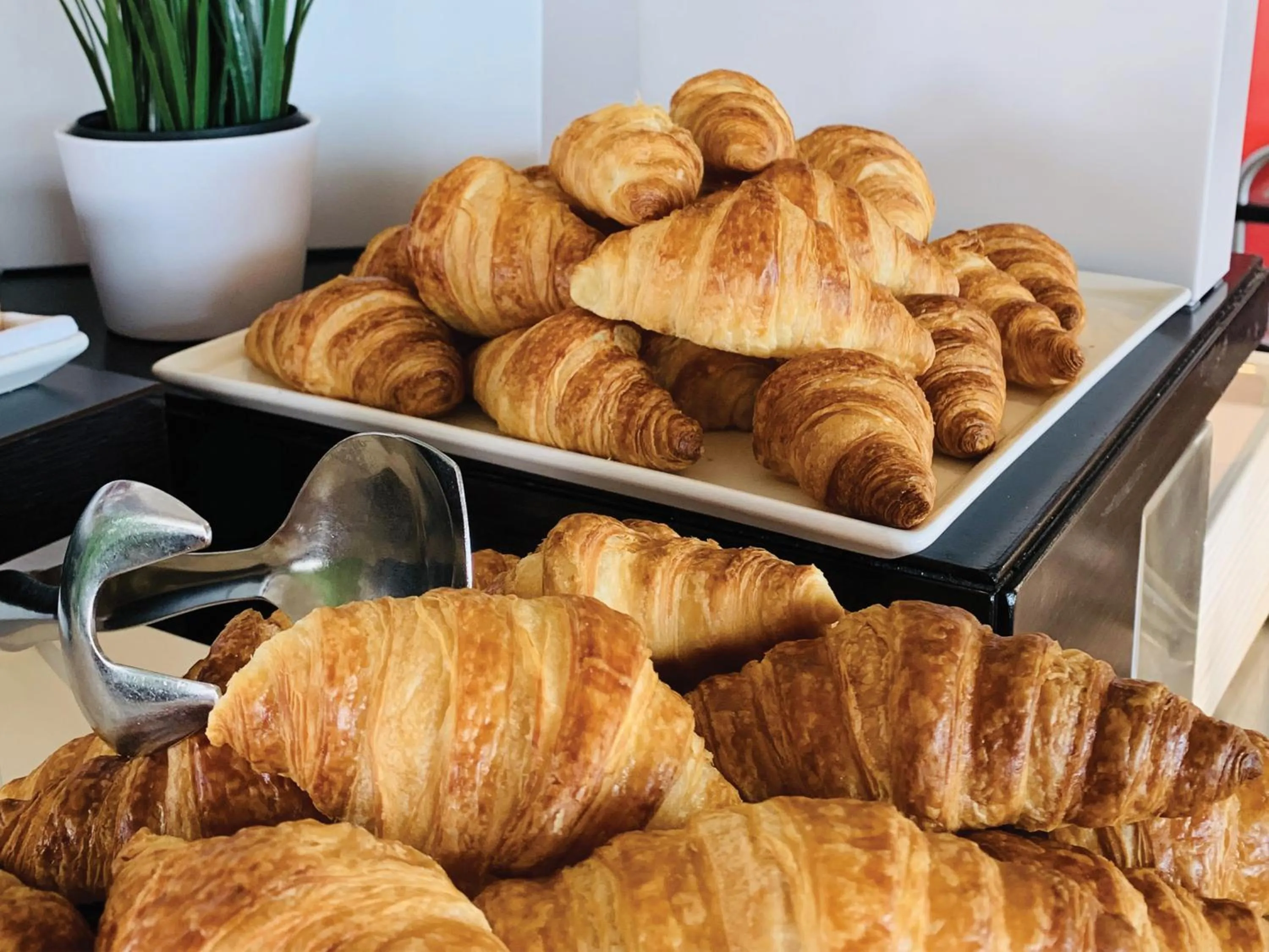 Food in Starling Hotel Lausanne