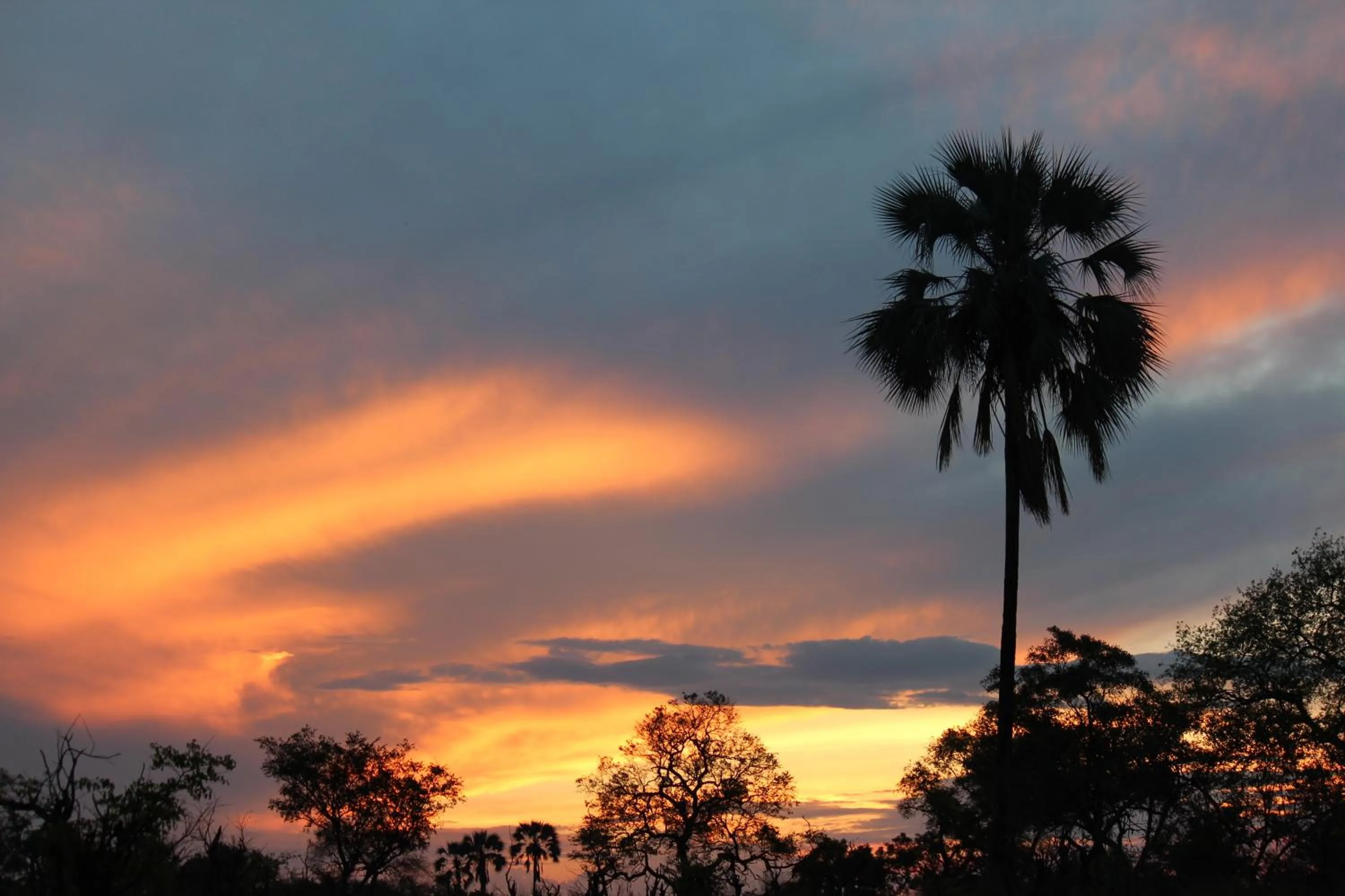 View (from property/room) in Cresta Maun Hotel