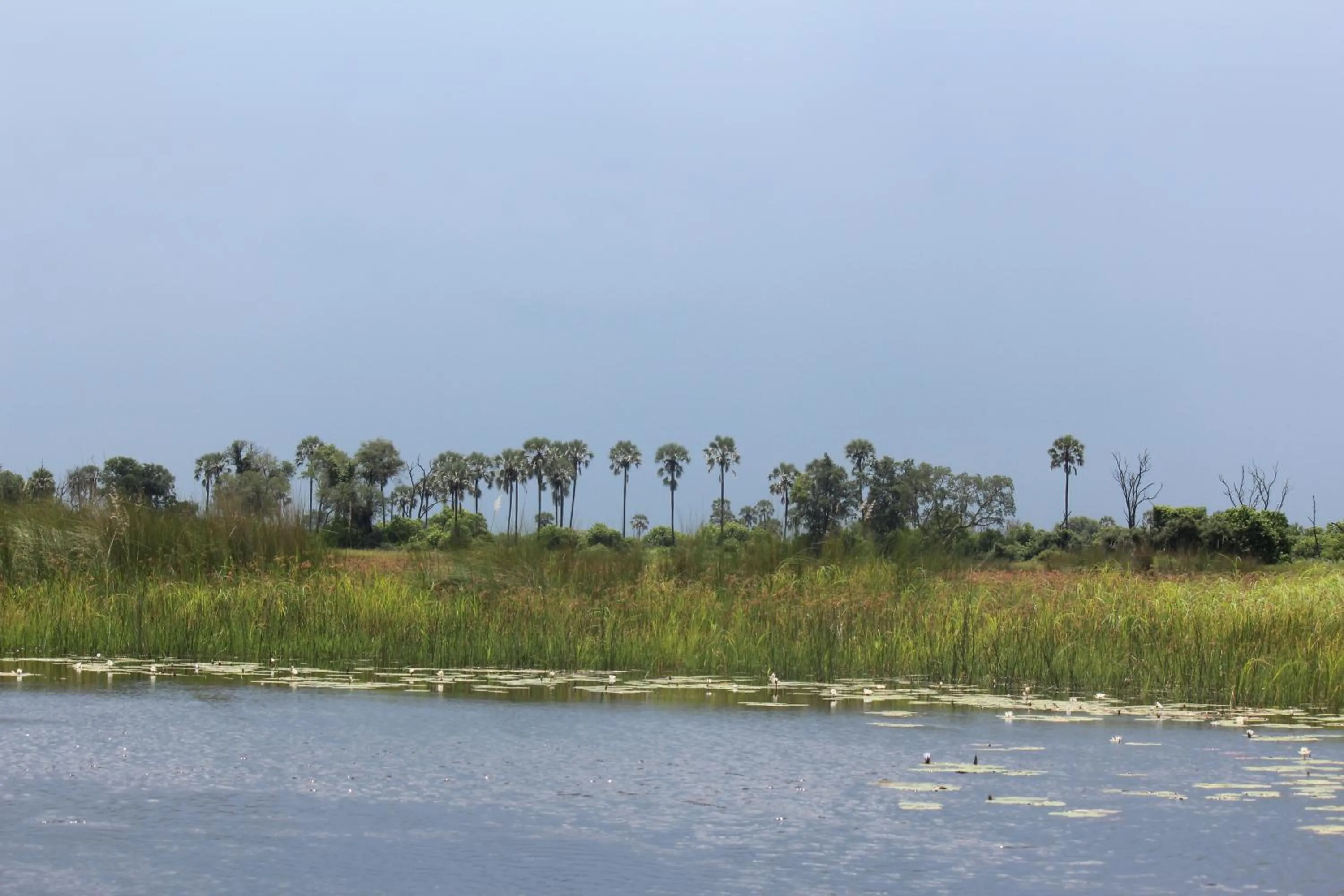 River view in Cresta Maun Hotel