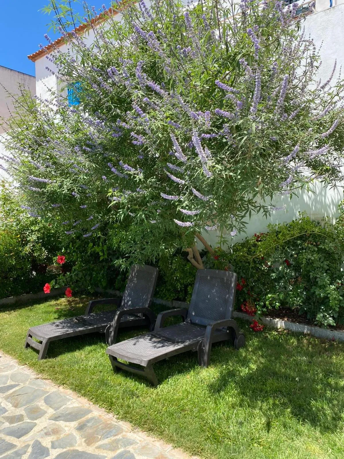Garden in Hotel Entreolivos