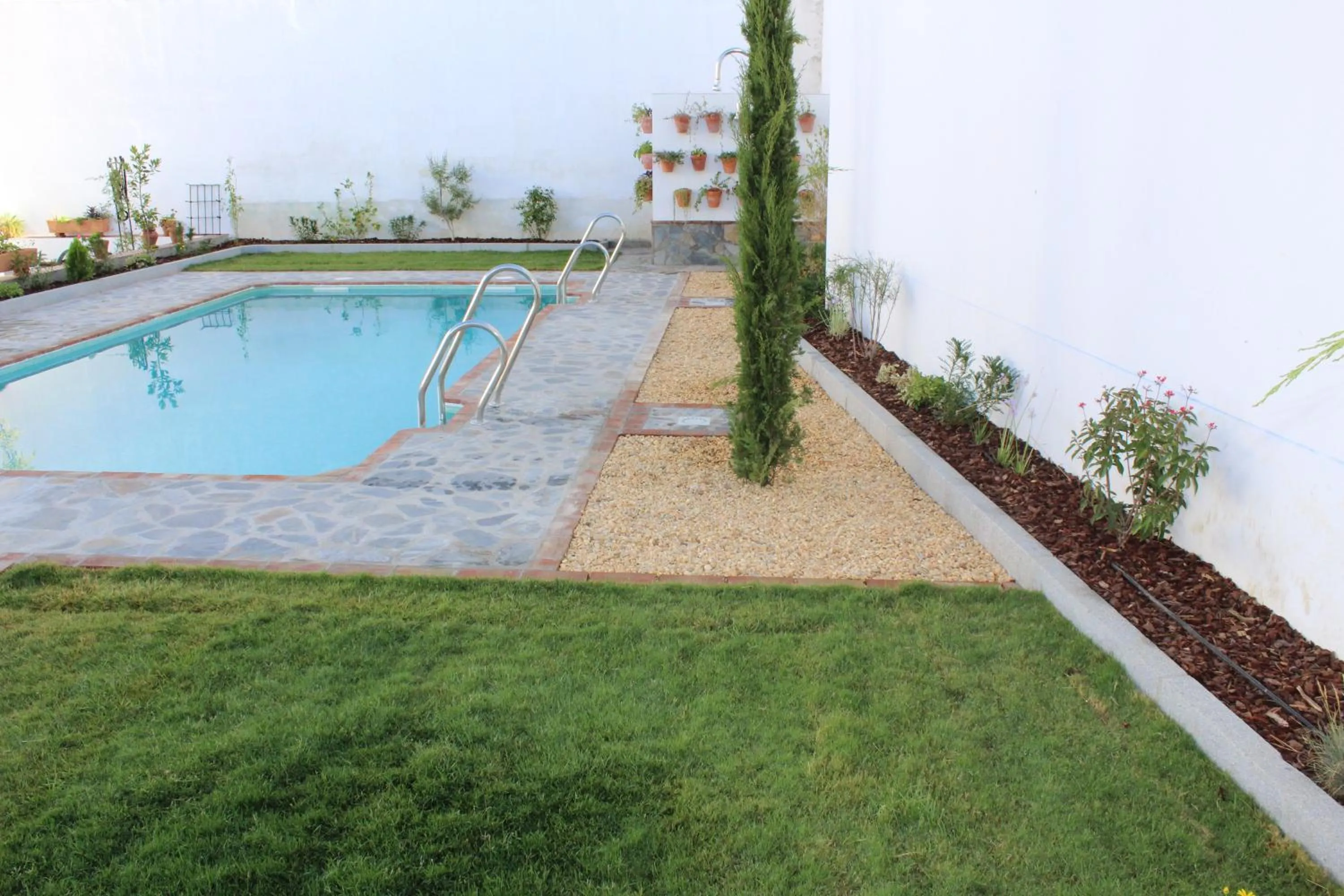 Swimming pool in Hotel Entreolivos