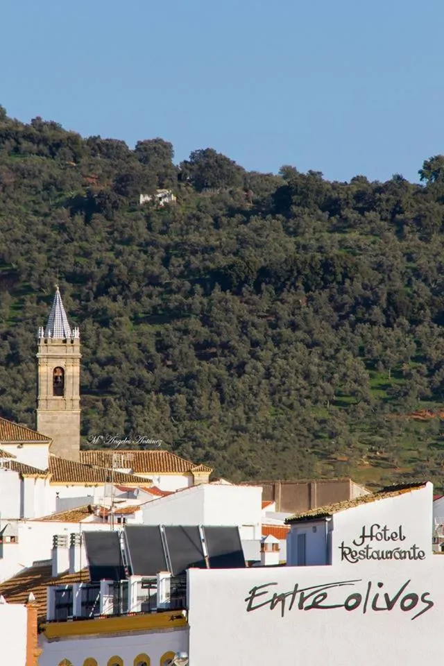 Off site in Hotel Entreolivos