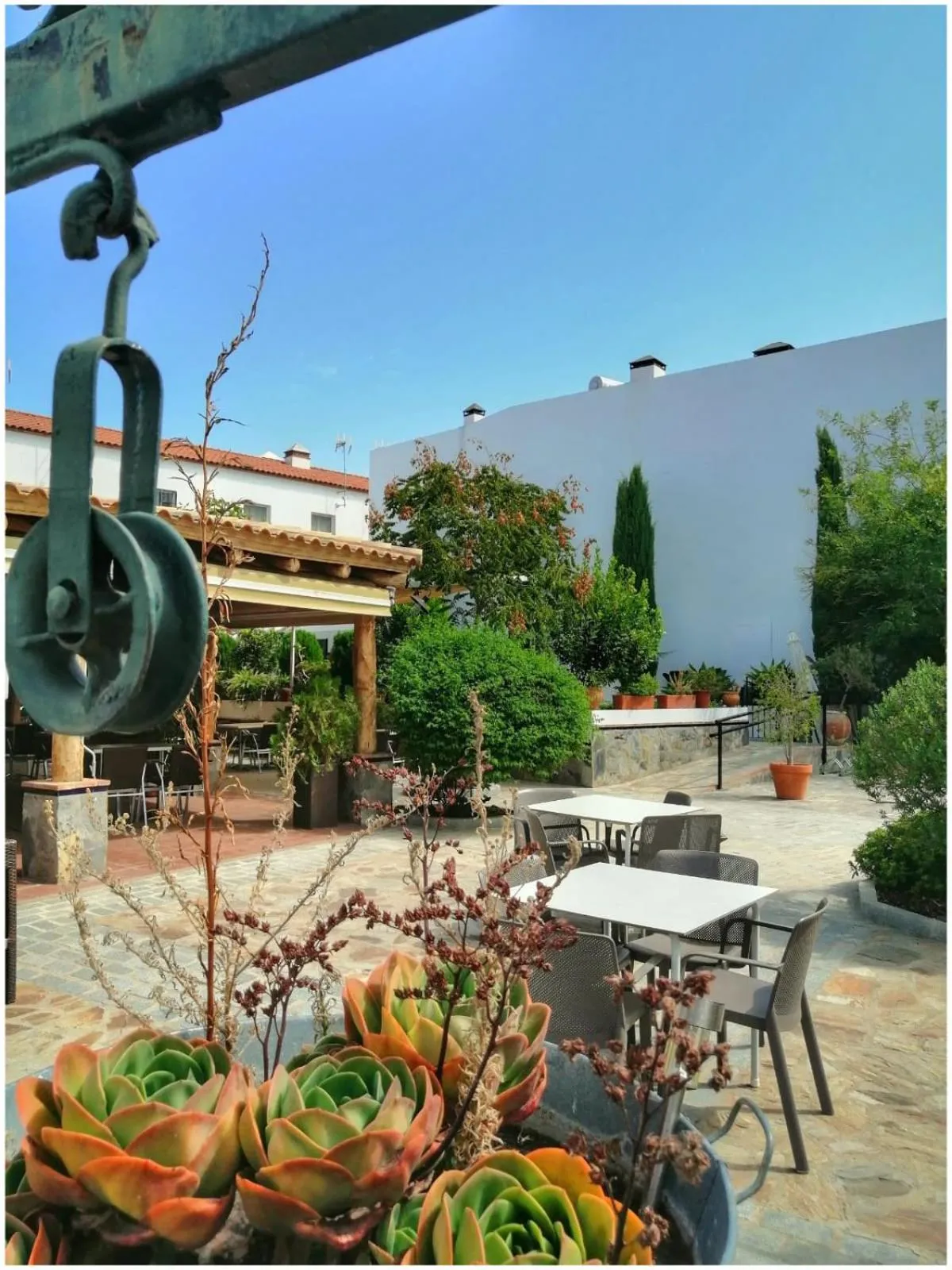 Restaurant/places to eat in Hotel Entreolivos