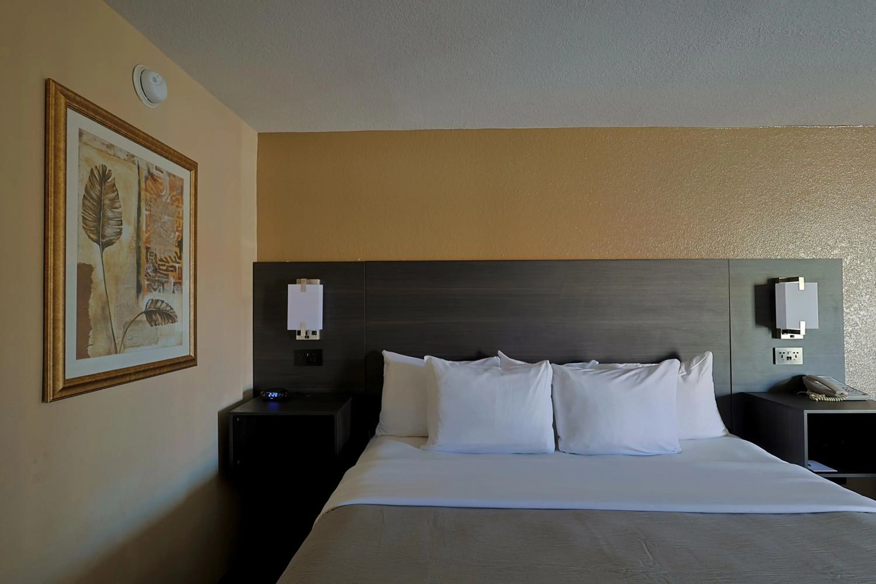 Bed in Quality Inn Kennedy Space Center