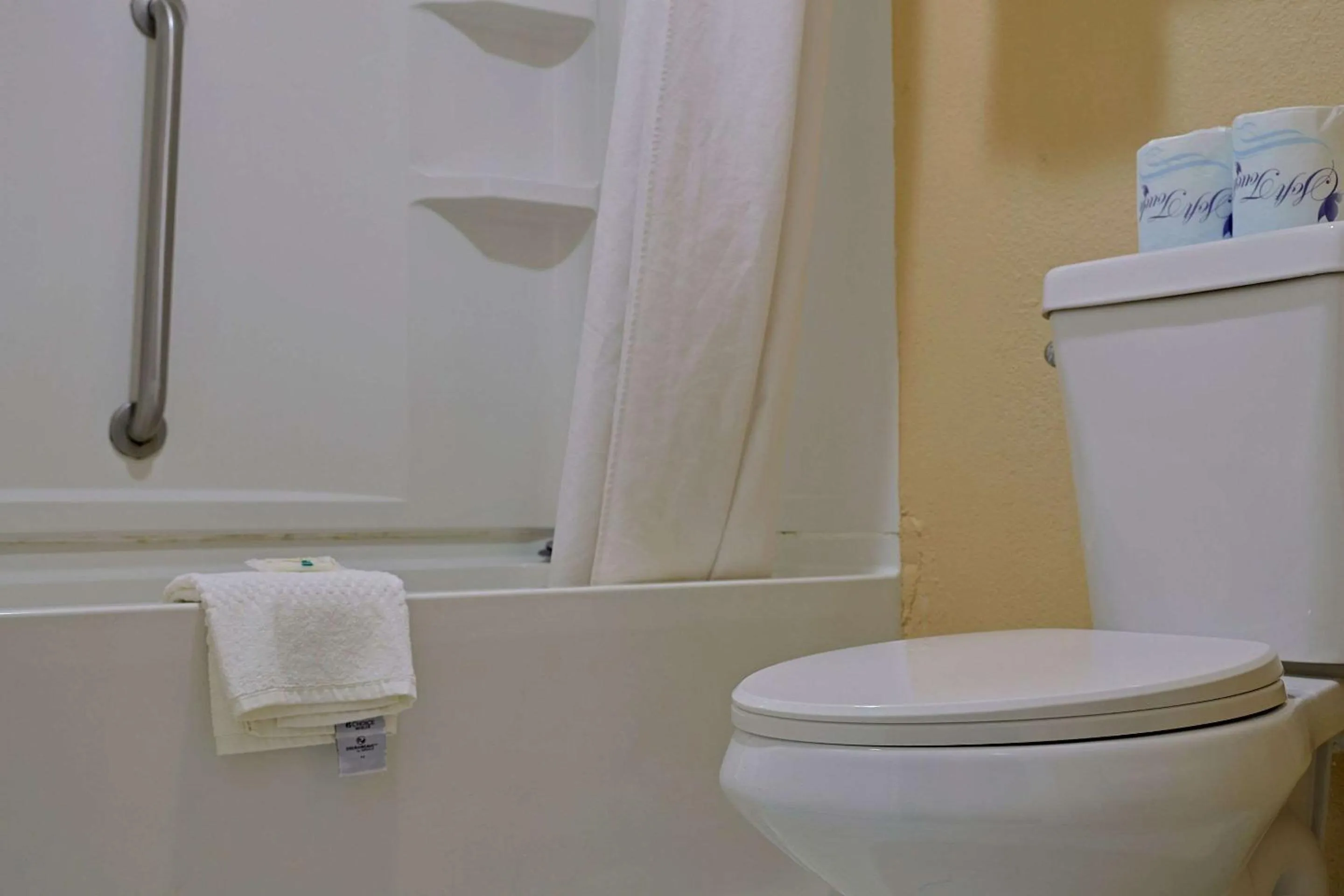 Bathroom in Quality Inn Kennedy Space Center