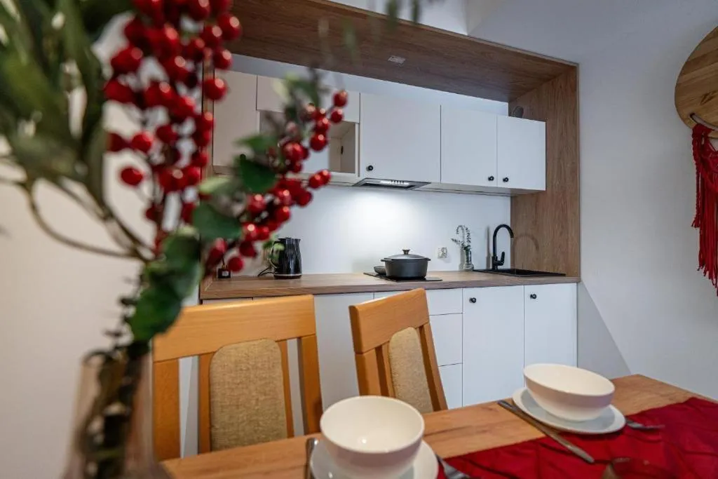 Kitchen or kitchenette in Pensjonat Dawidek