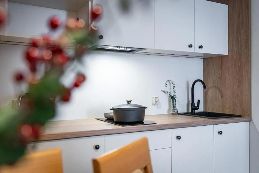 Kitchen or kitchenette in Pensjonat Dawidek