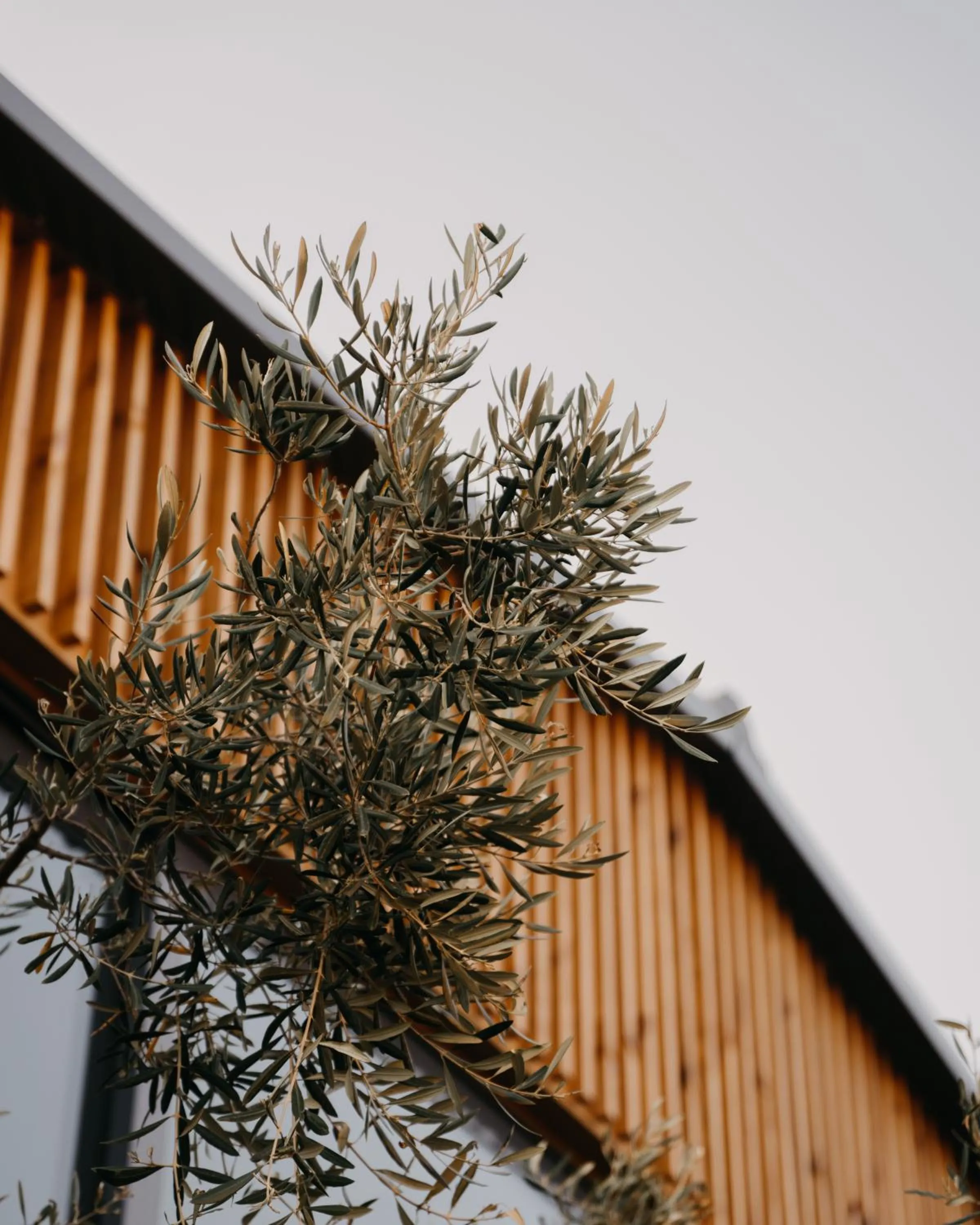 Property building in Zante Calinica Hotel