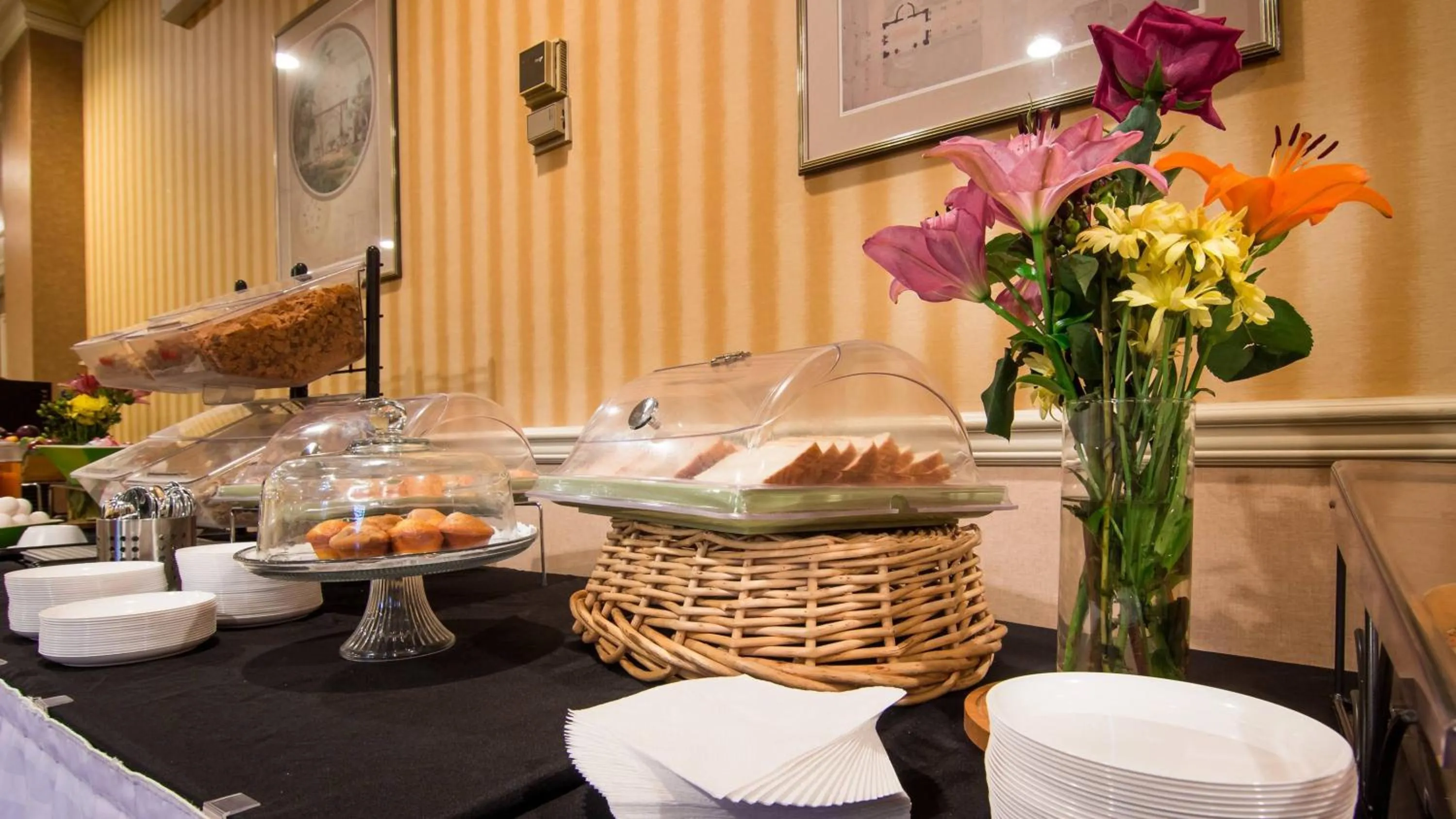 Area and facilities in Adria Hotel and Conference Center