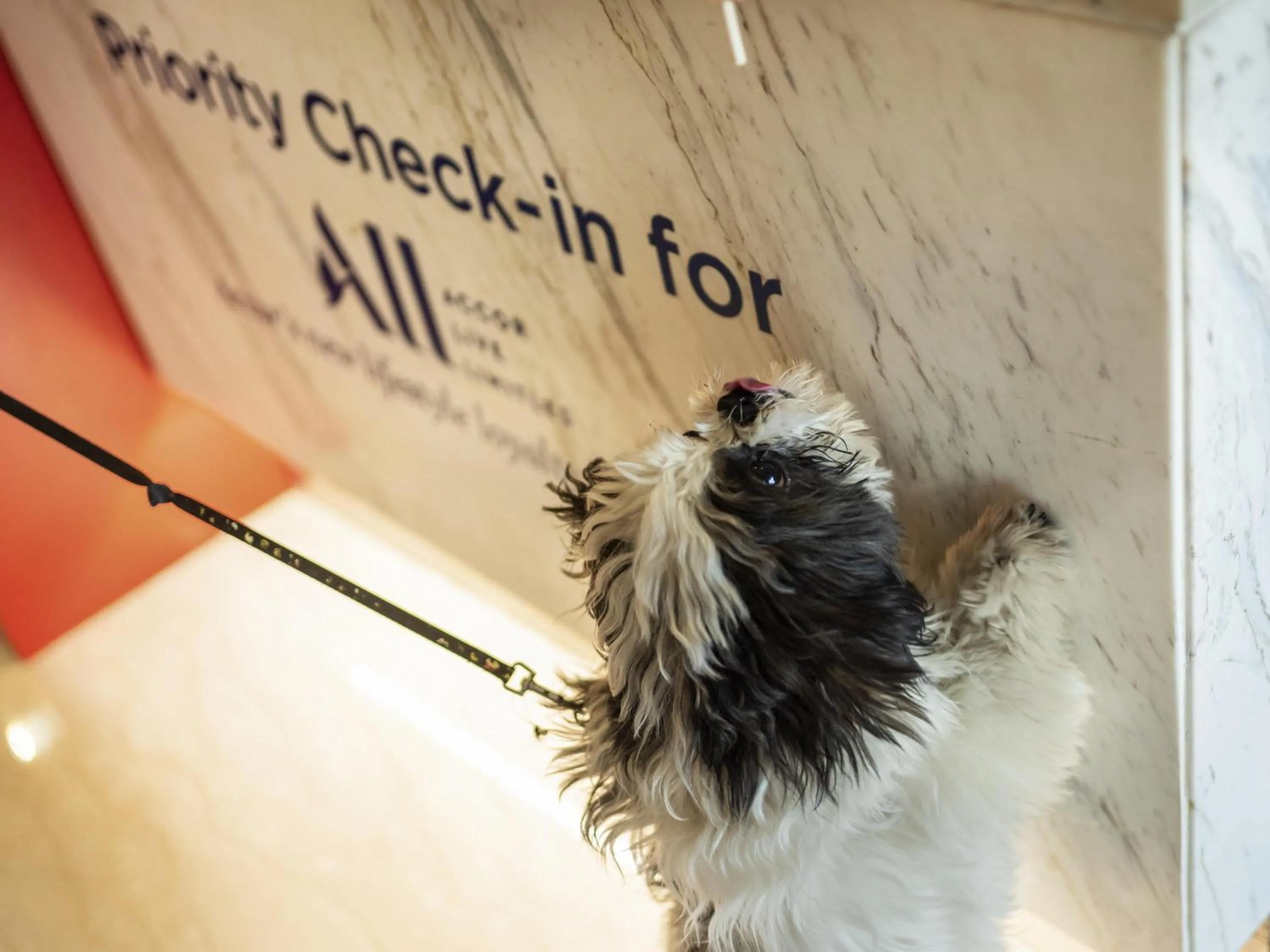 Other in ibis Gurgaon Golf Course Road - An Accor Brand