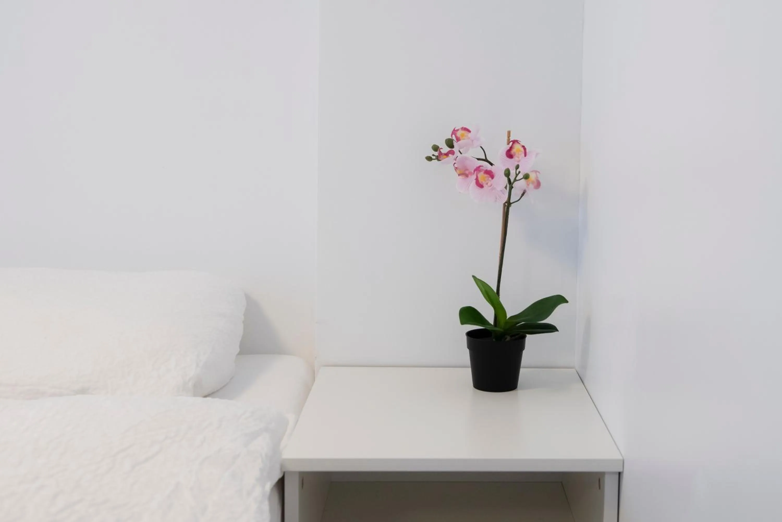 Decorative detail, Bed in Media Luna Guesthouse